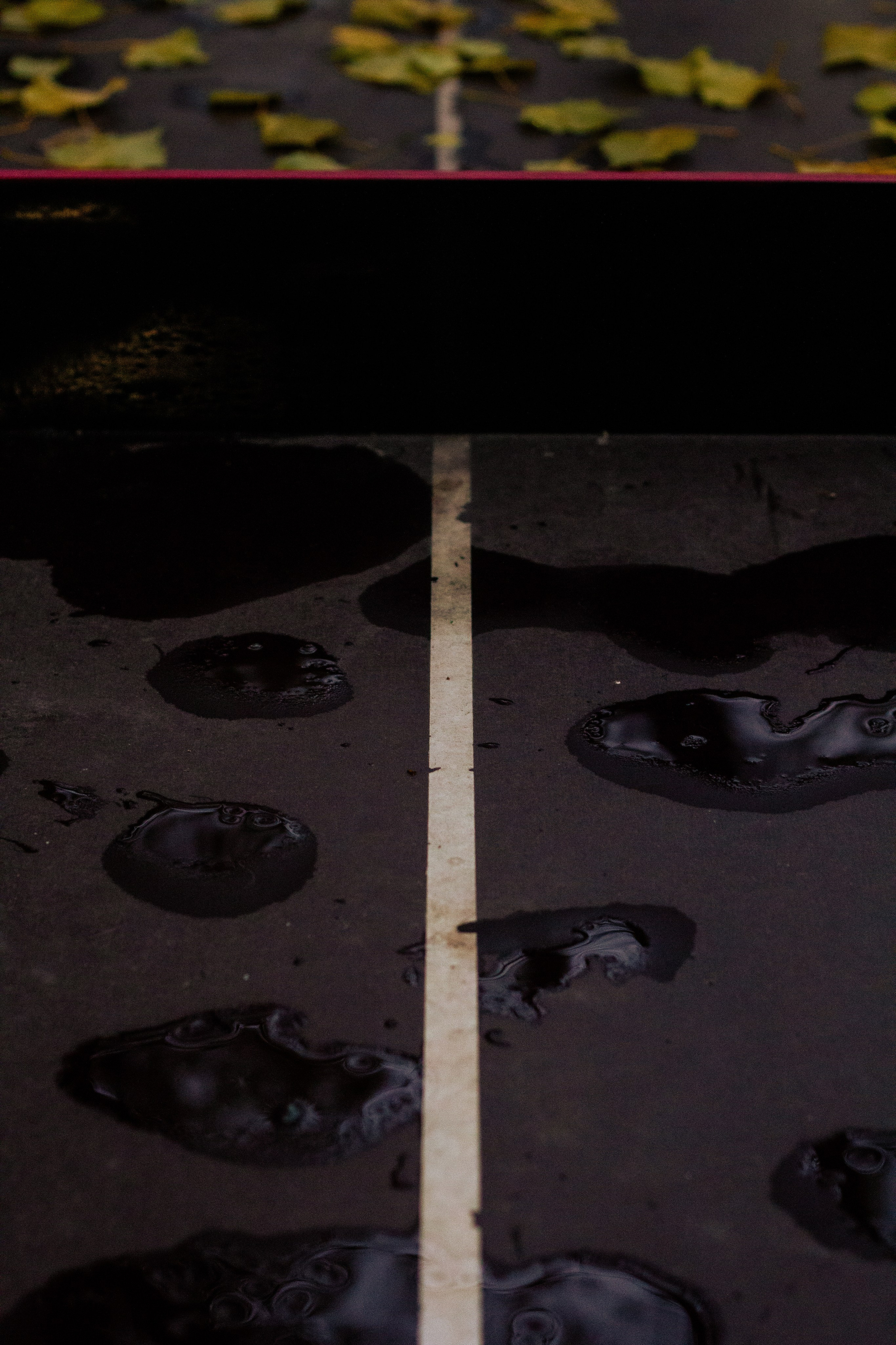 Осень в Москве. Фотограф Москва, портрет, стрит, репортаж. Художественная фотосессия