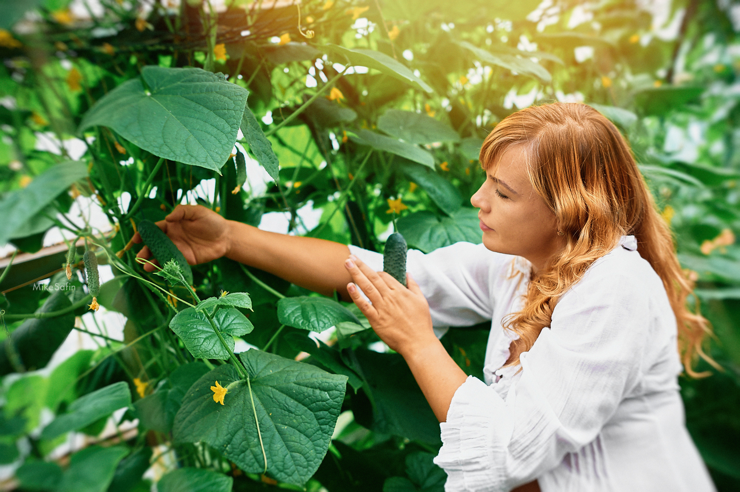 В ожидании чуда Сургут