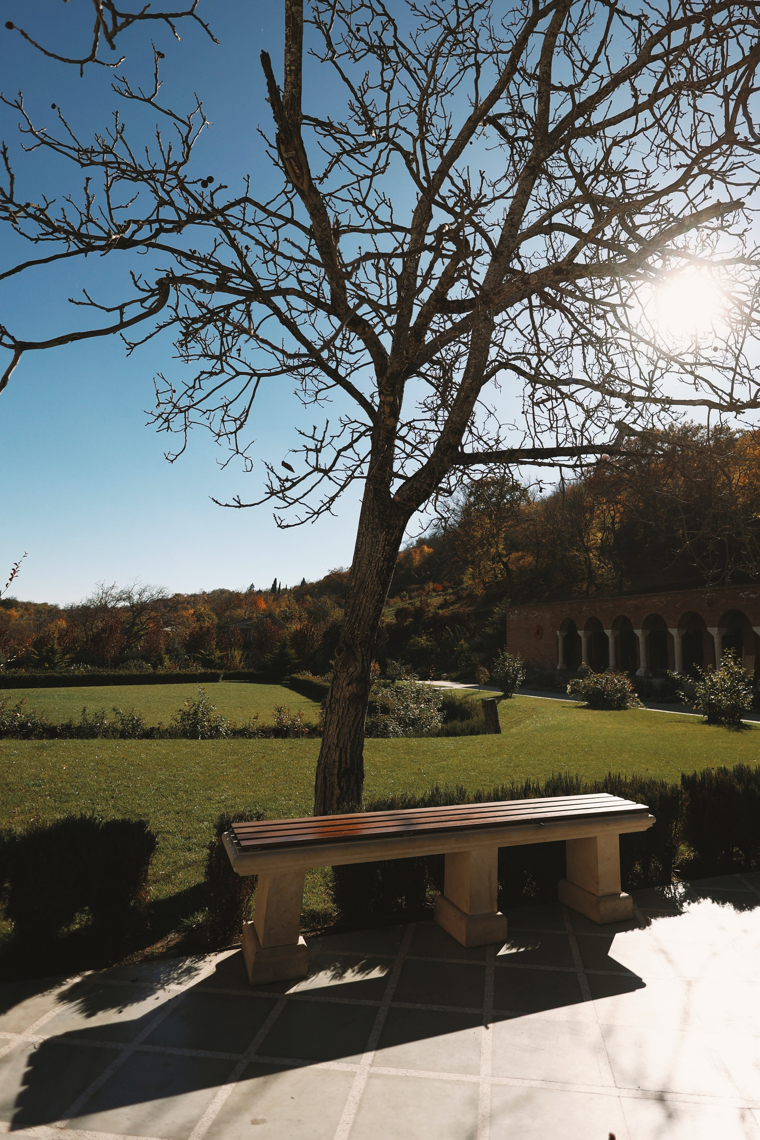 Путешествия. Mariyaschmidt