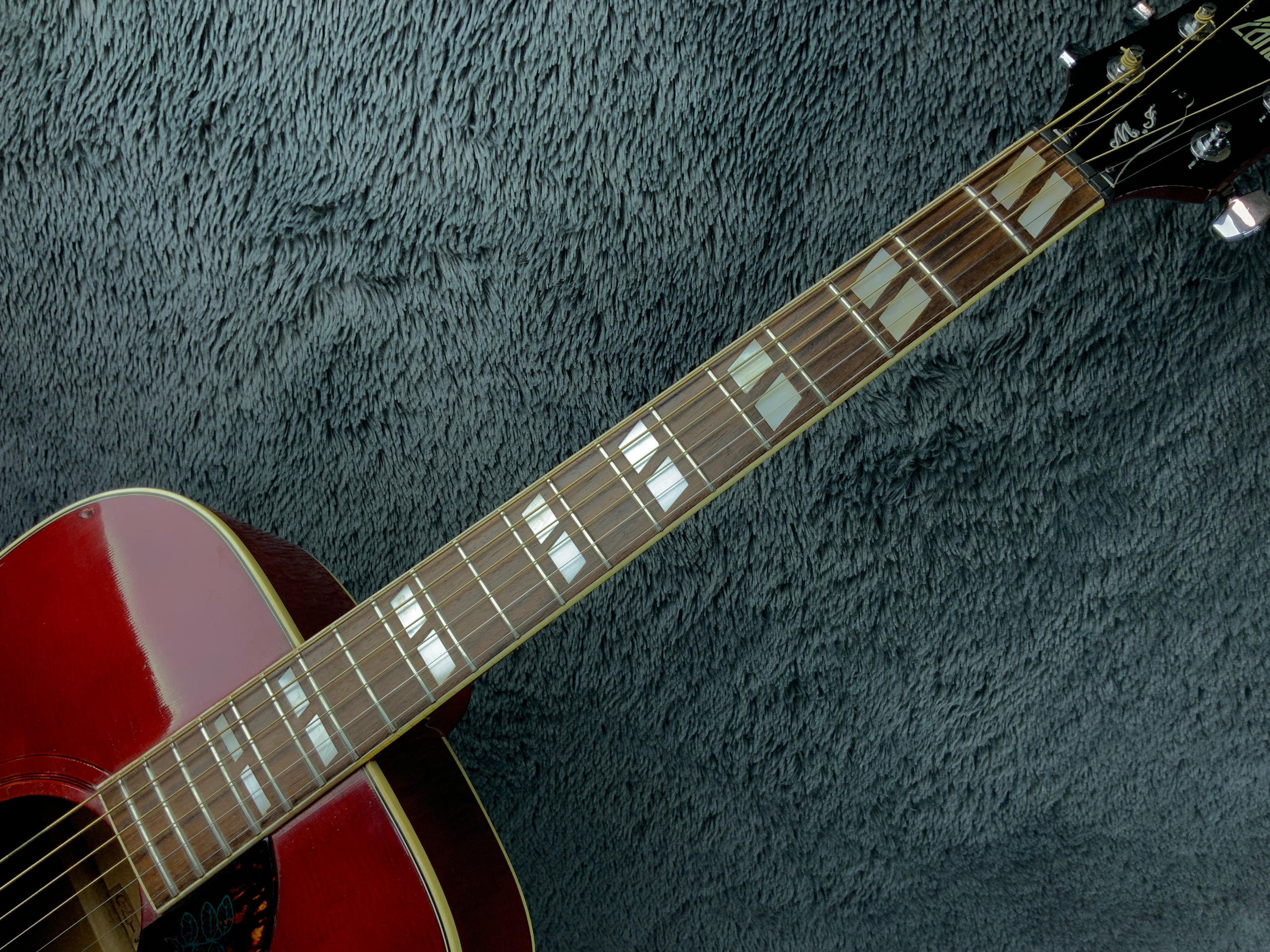 Canda-303 by Fuji-Gen Gakki Japan