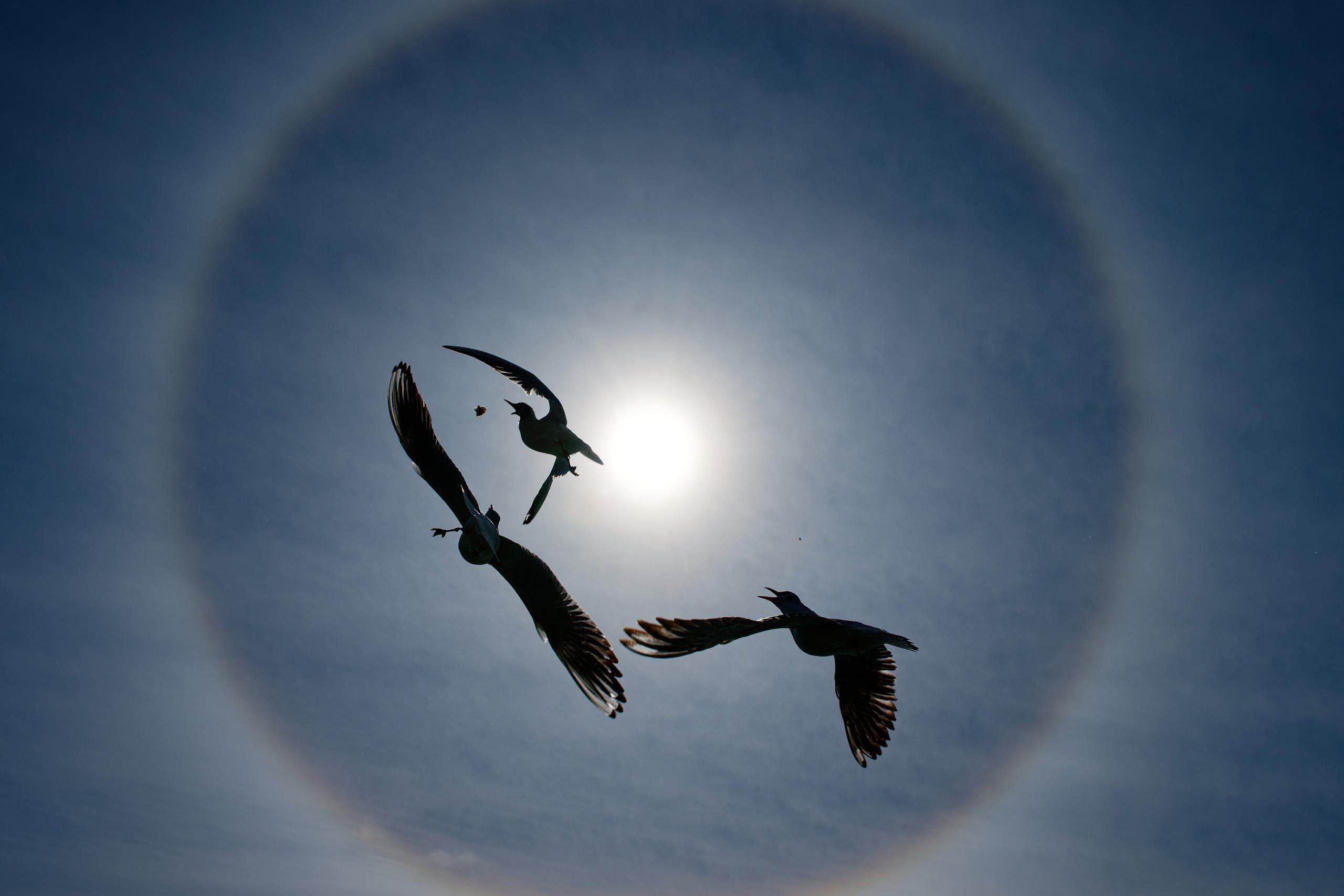 Репортажный фотограф в Сочи Евгений Реутов