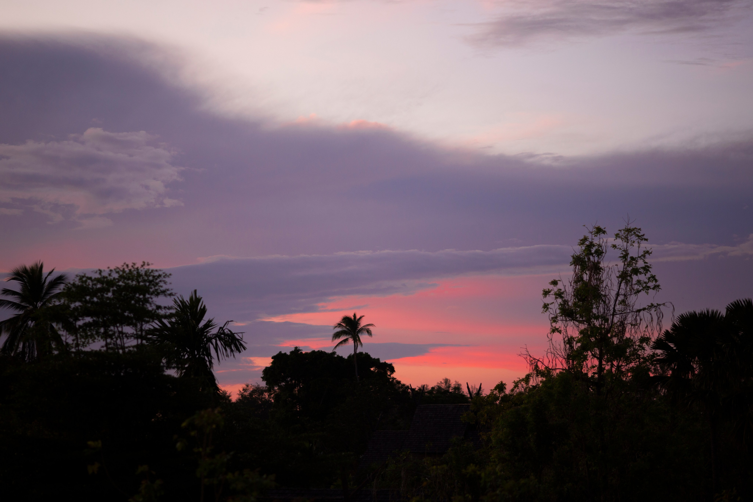 Таиланд. Фотограф Даша Омельченко