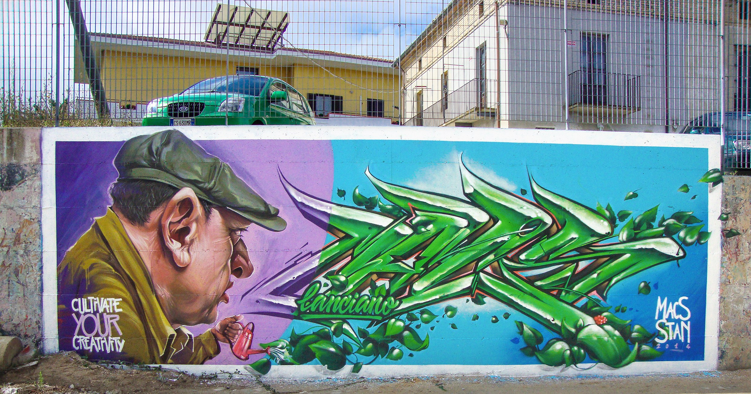 Graffiti. Alexander Stan Shimanov