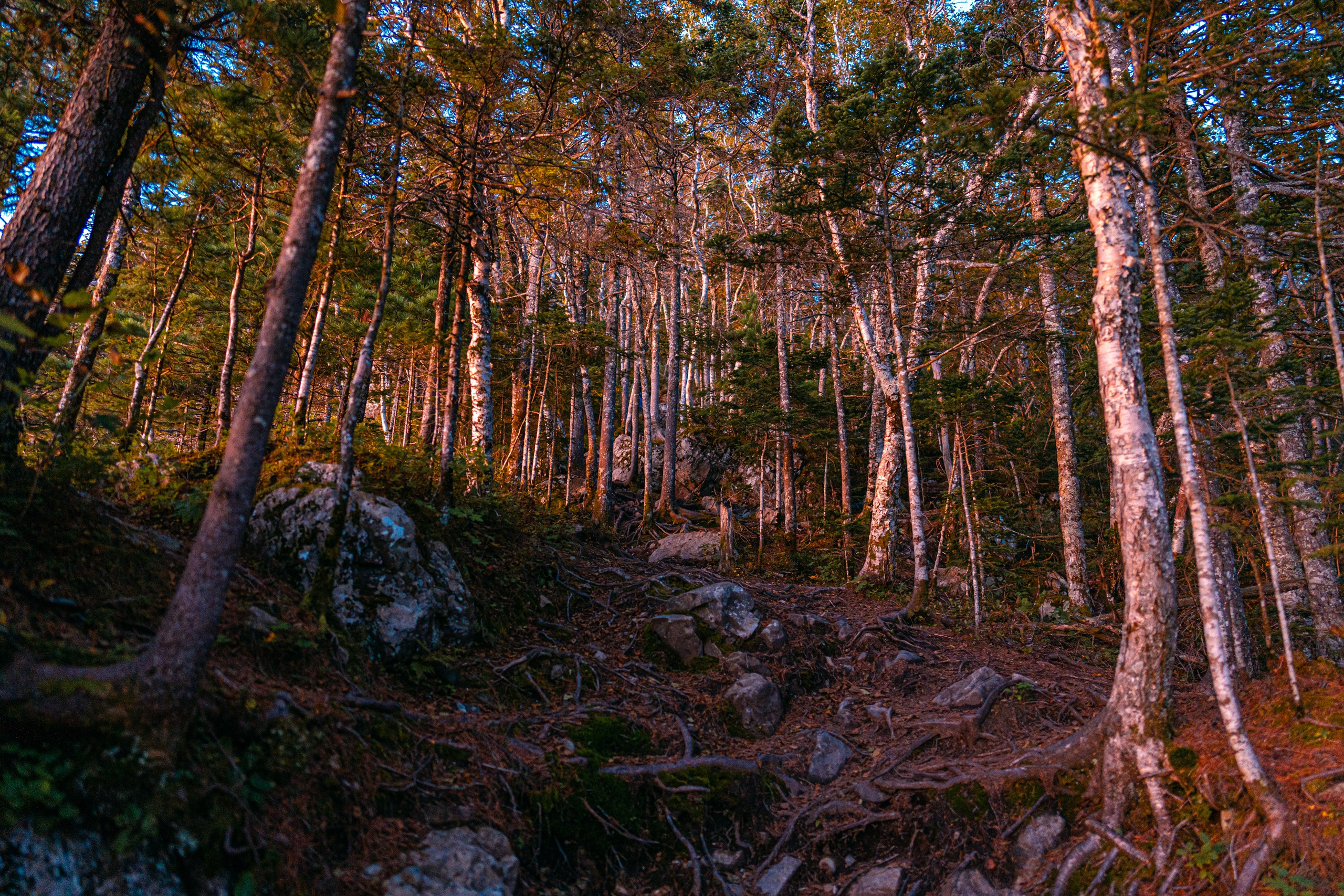 Гора Литовка (Фалаза). Иван Зайцев (IZIART) — создание культурного кода через фото и видео