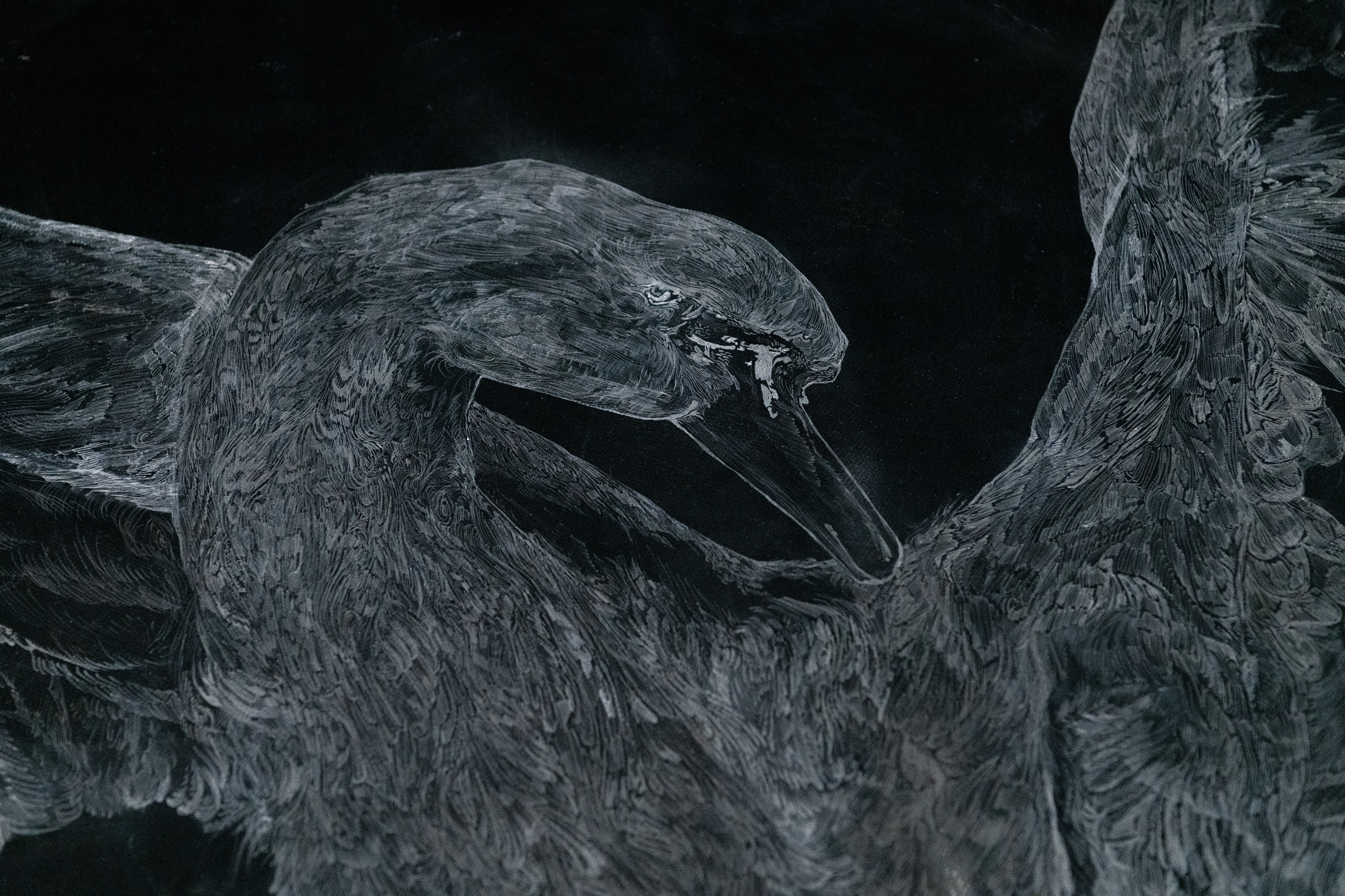 Диалоги. Илья Крончев-Иванов