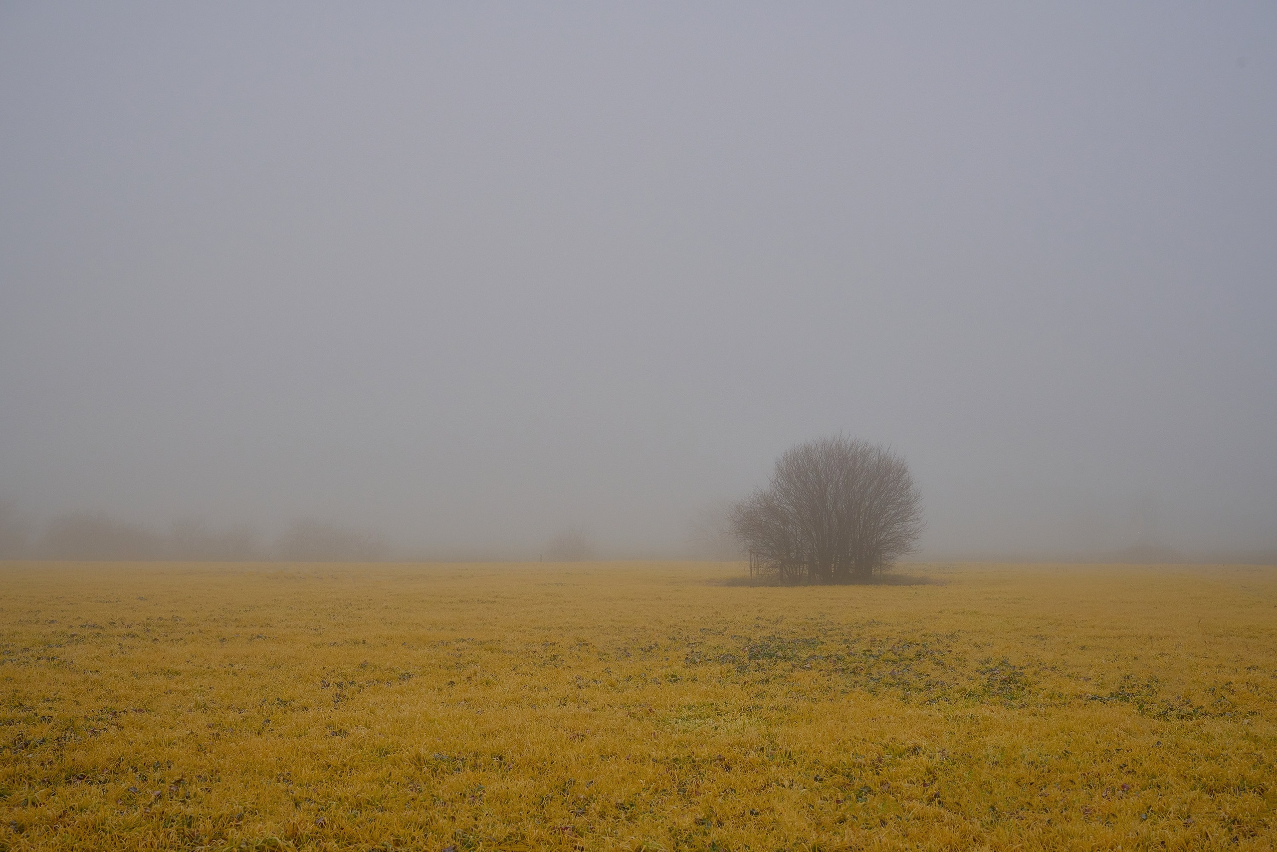 Пейзажи. Яркие фото на Чёрном море