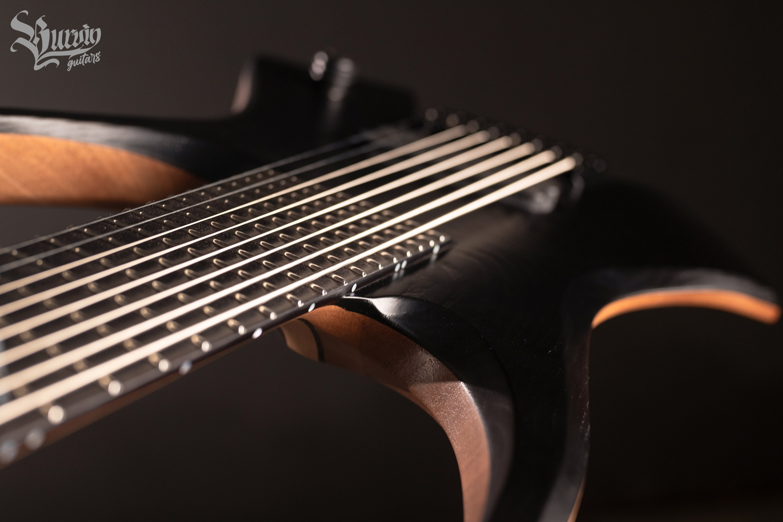 041 DECAPITATOR 8. Master of making guitars and basses to order