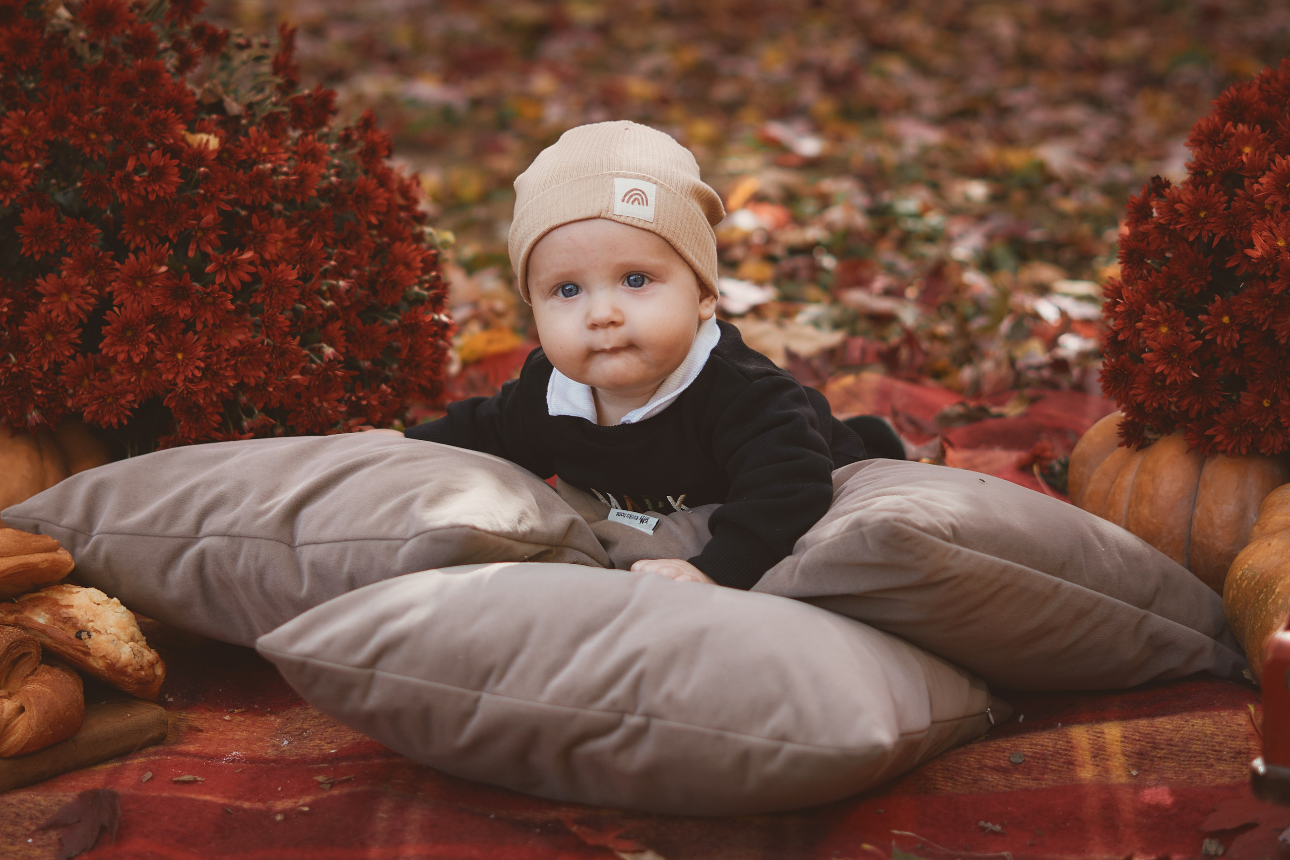 Осенняя фотосессия 2024. Петр Ступень. Свадебное, семейное фото и видео. Москва. Краснодар