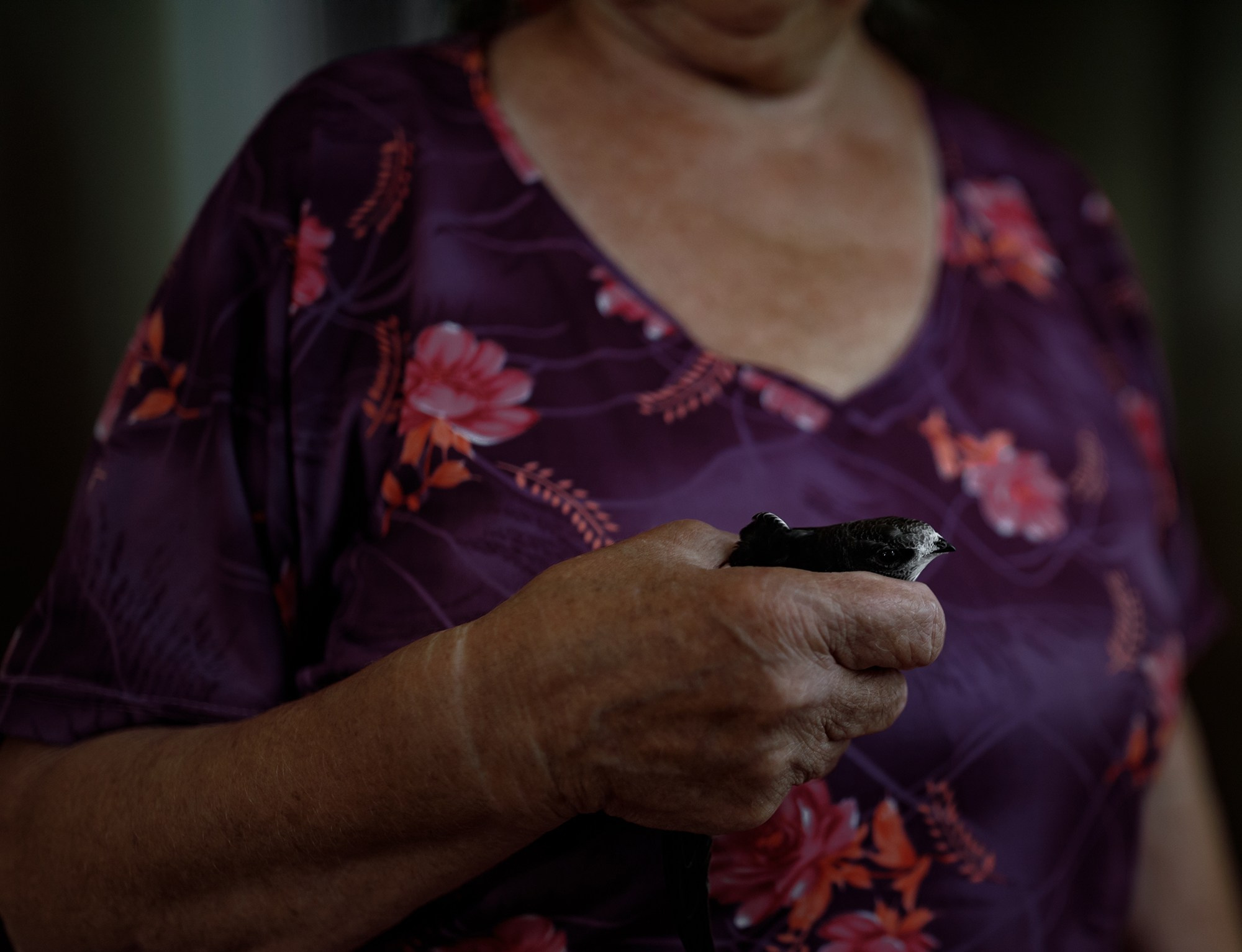 Russia. Documentary and art photographer Alexey Terentyev