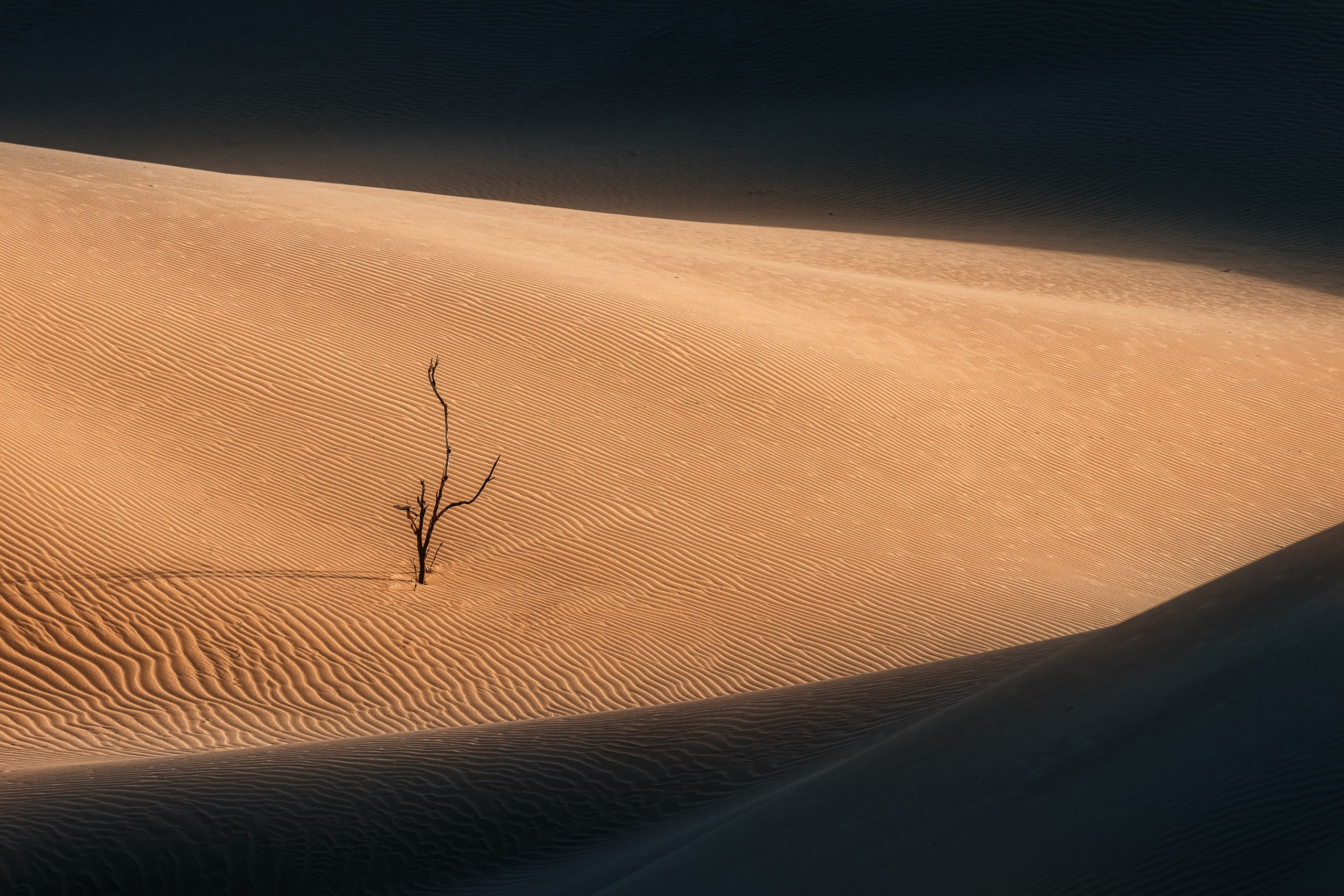 Экспедиция в Мангистау. Казахстан (28.03 — 11.04.25). Фотограф Константин Шамин