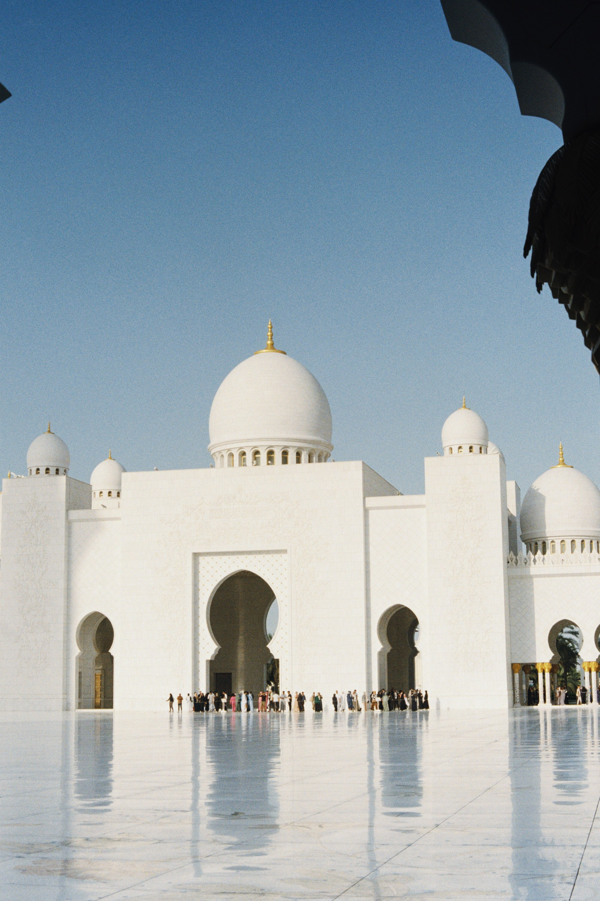 Dubai \ may 2024 \ film 35 mm. Коммерческий Фотограф Виктор Фоменых