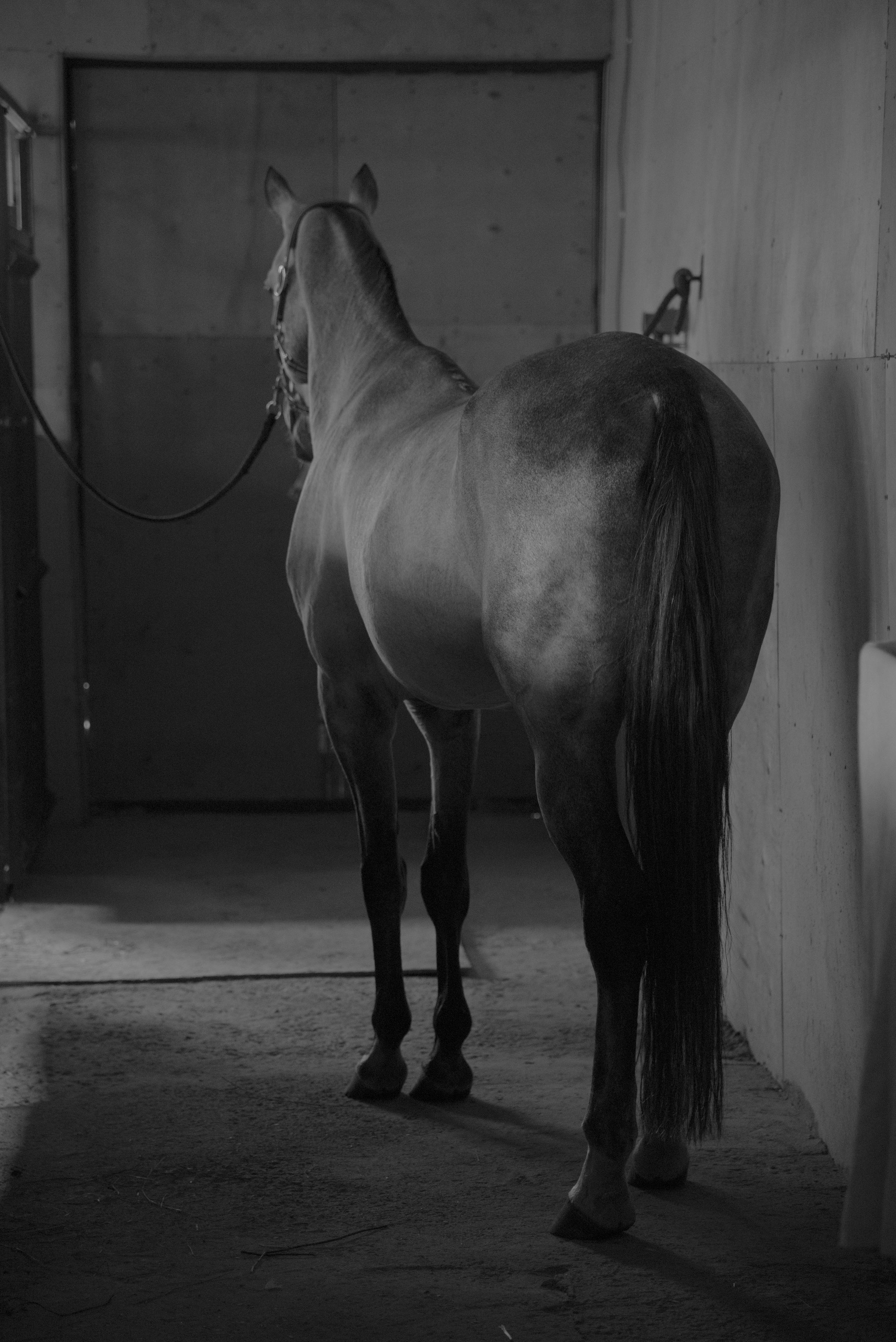 BORN AND RAISED. Vlad Bulenkov