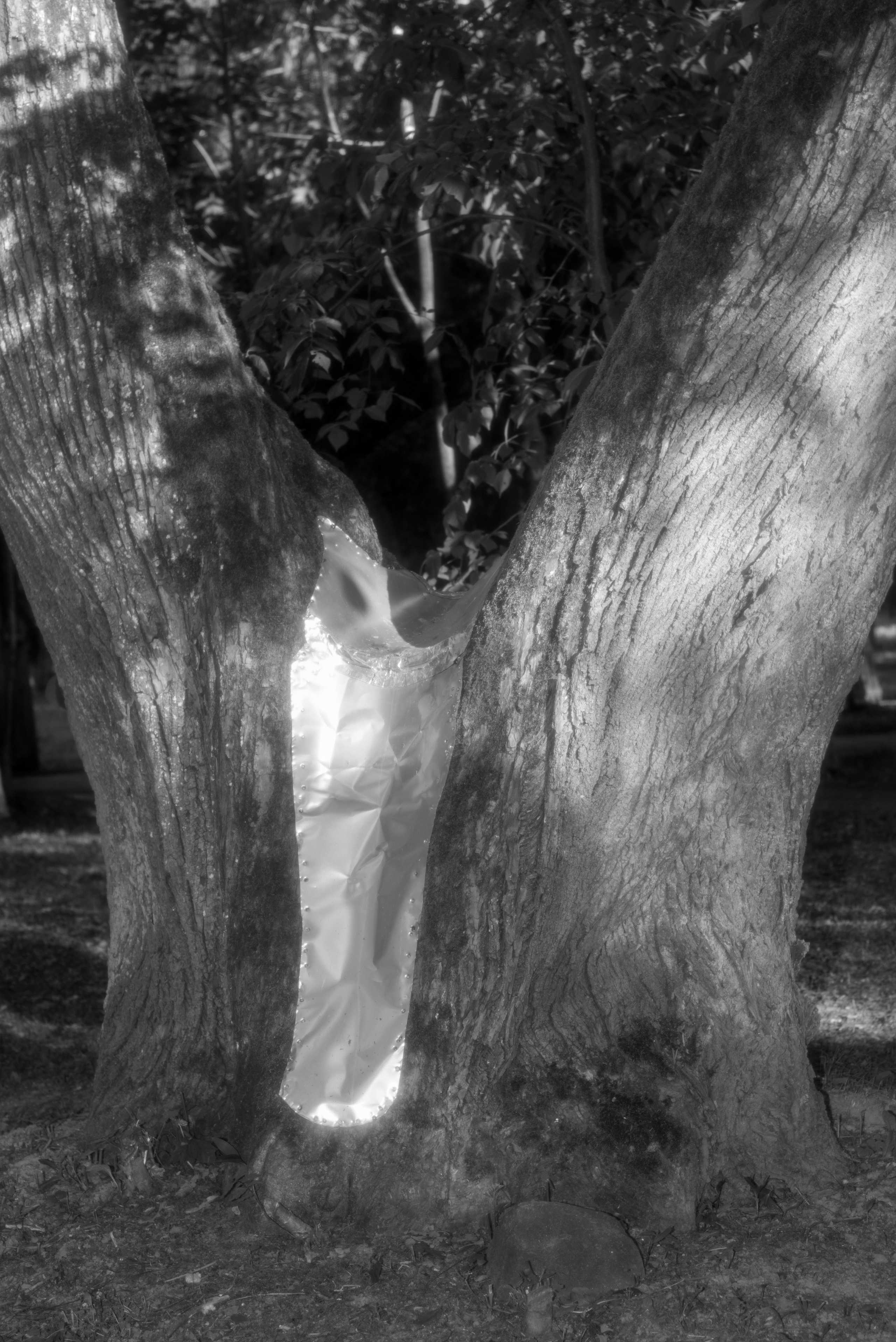 BORN AND RAISED. Vlad Bulenkov