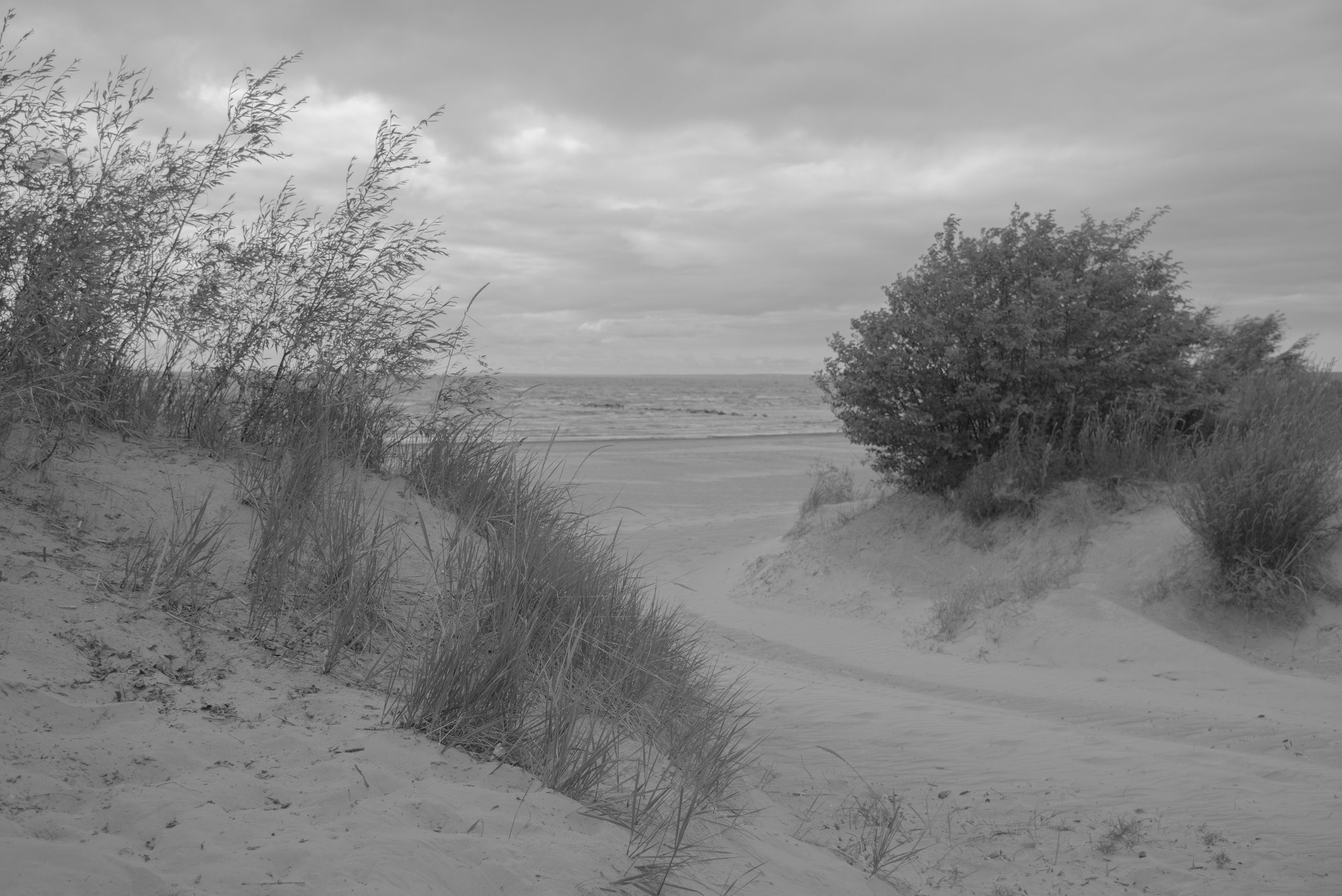 BORN AND RAISED. Vlad Bulenkov