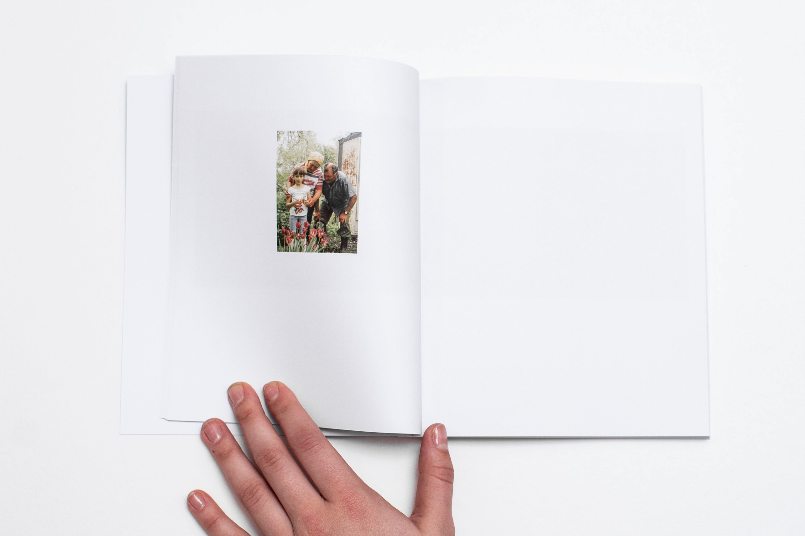 Компот с виноградом и айвой. Фотограф в Москве Алейникова Евгения