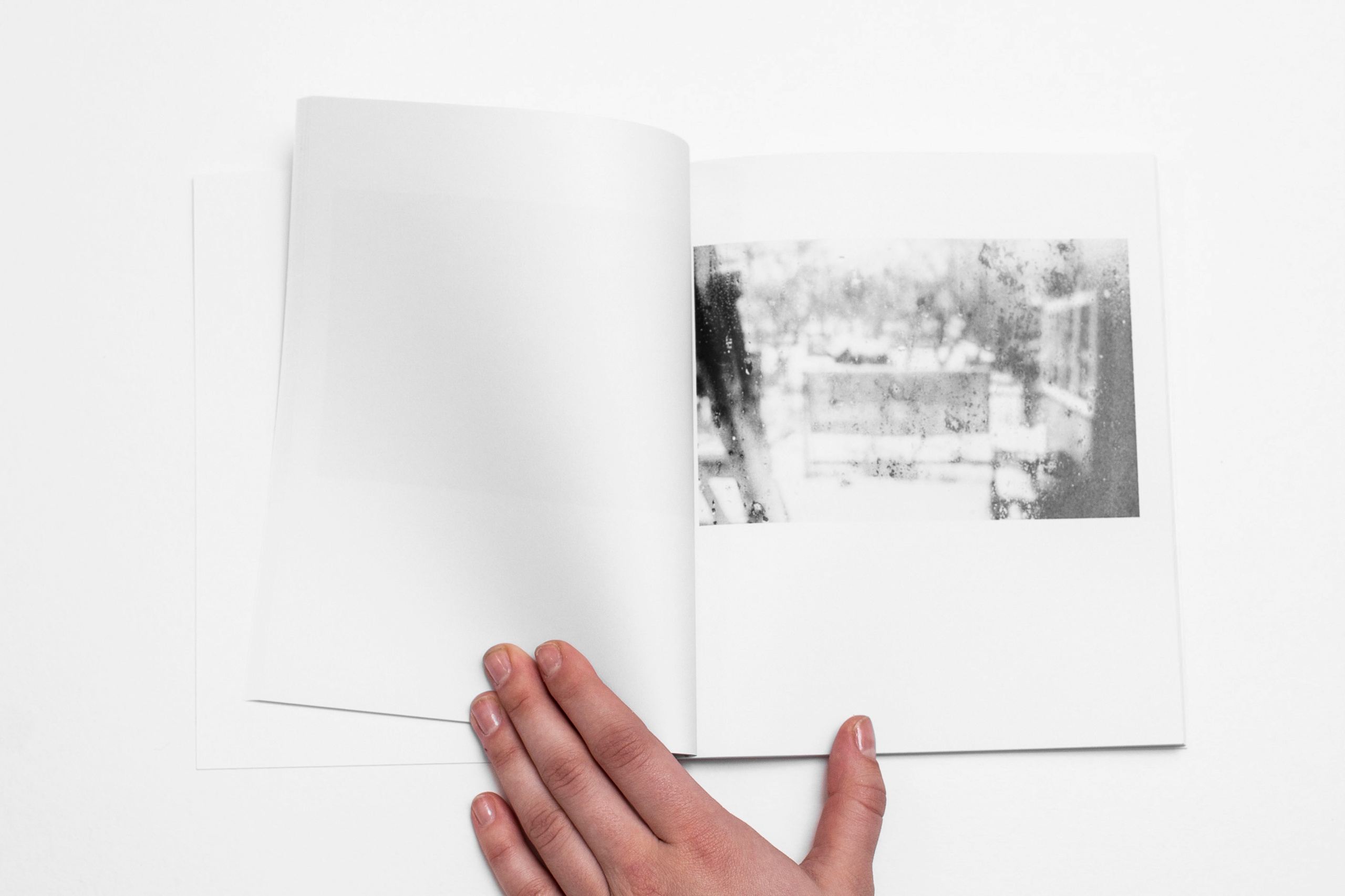 Компот с виноградом и айвой. Фотограф в Москве Алейникова Евгения