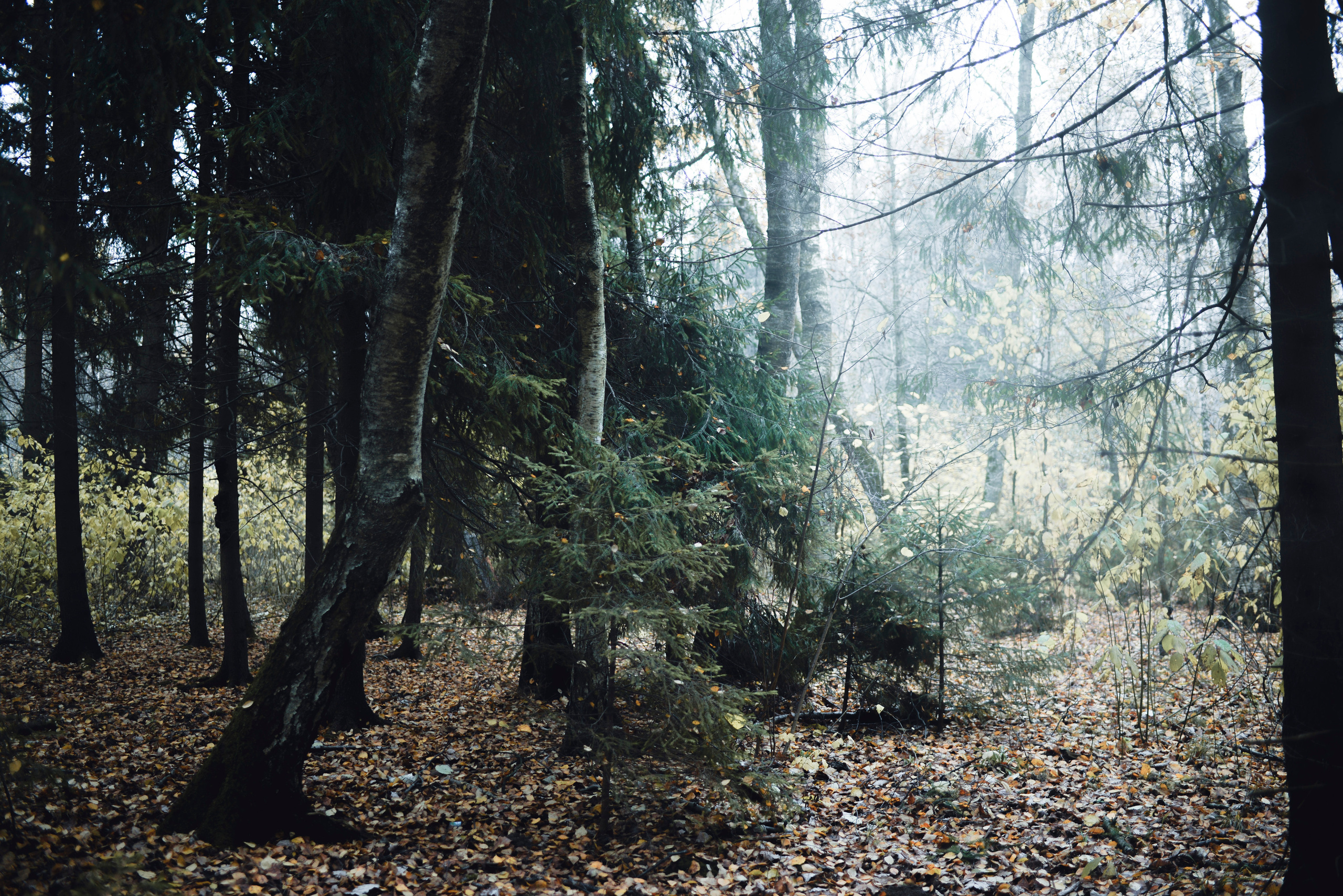 Проект "Being"