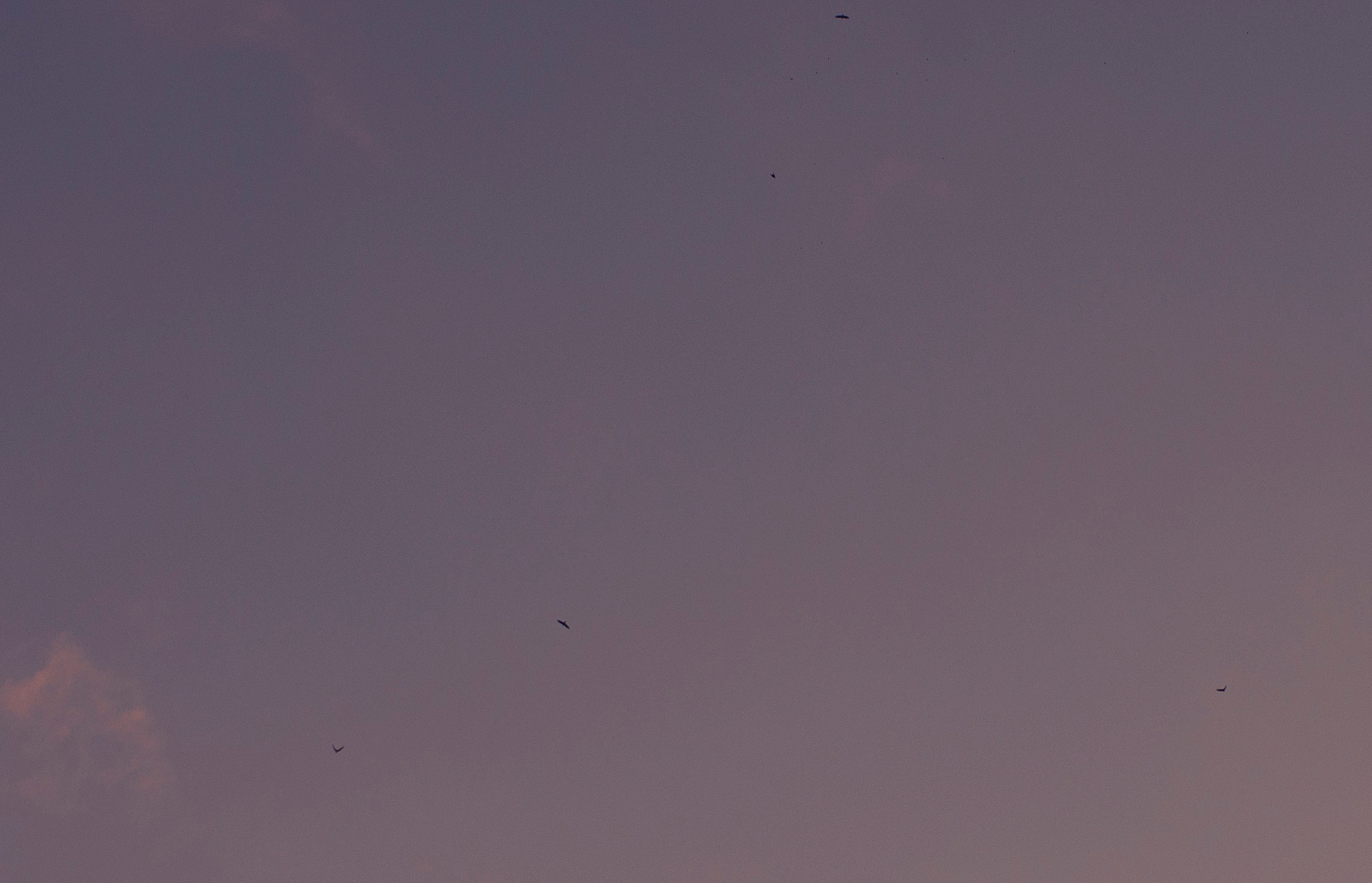 Фотограф в Москве Алейникова Евгения