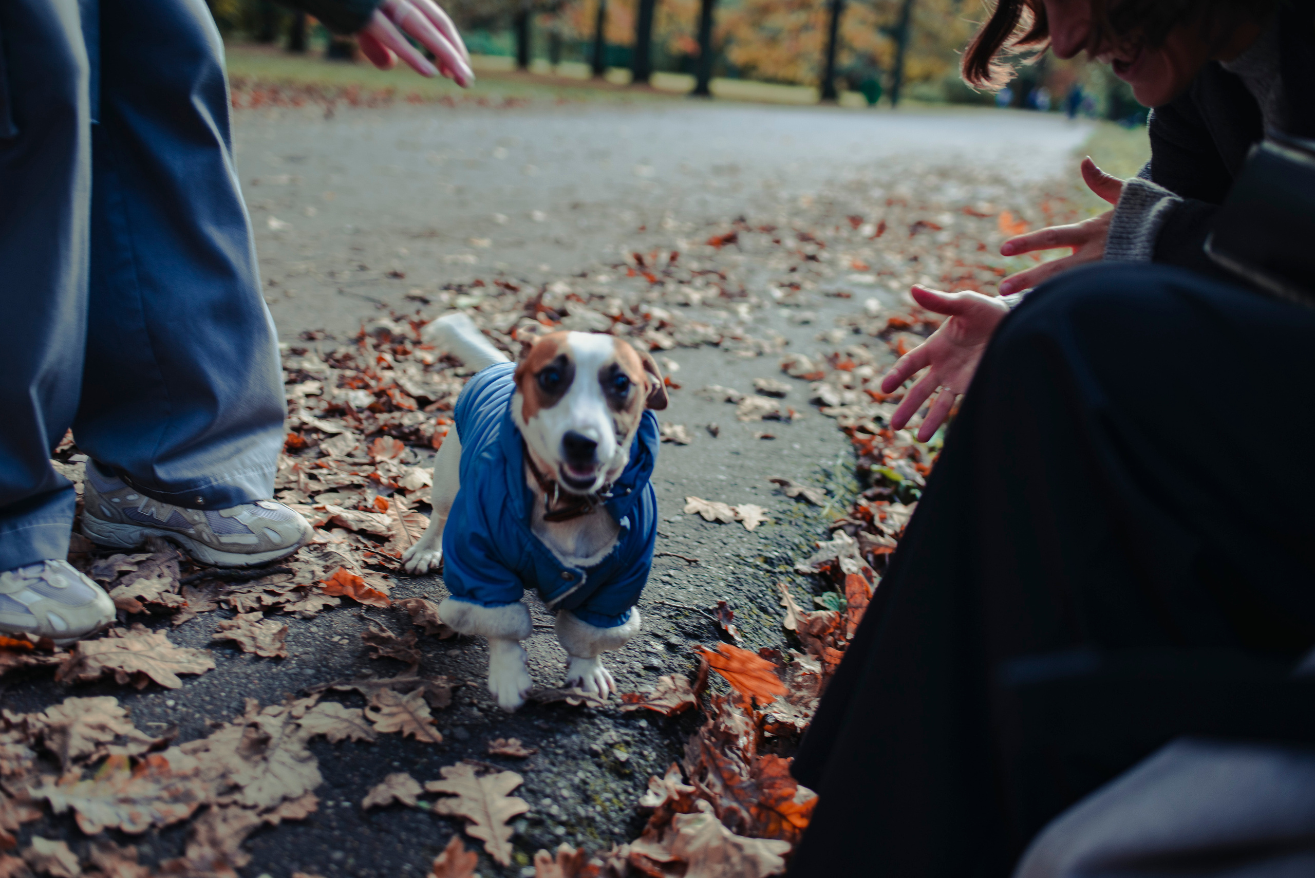 Фотограф в Москве Алейникова Евгения