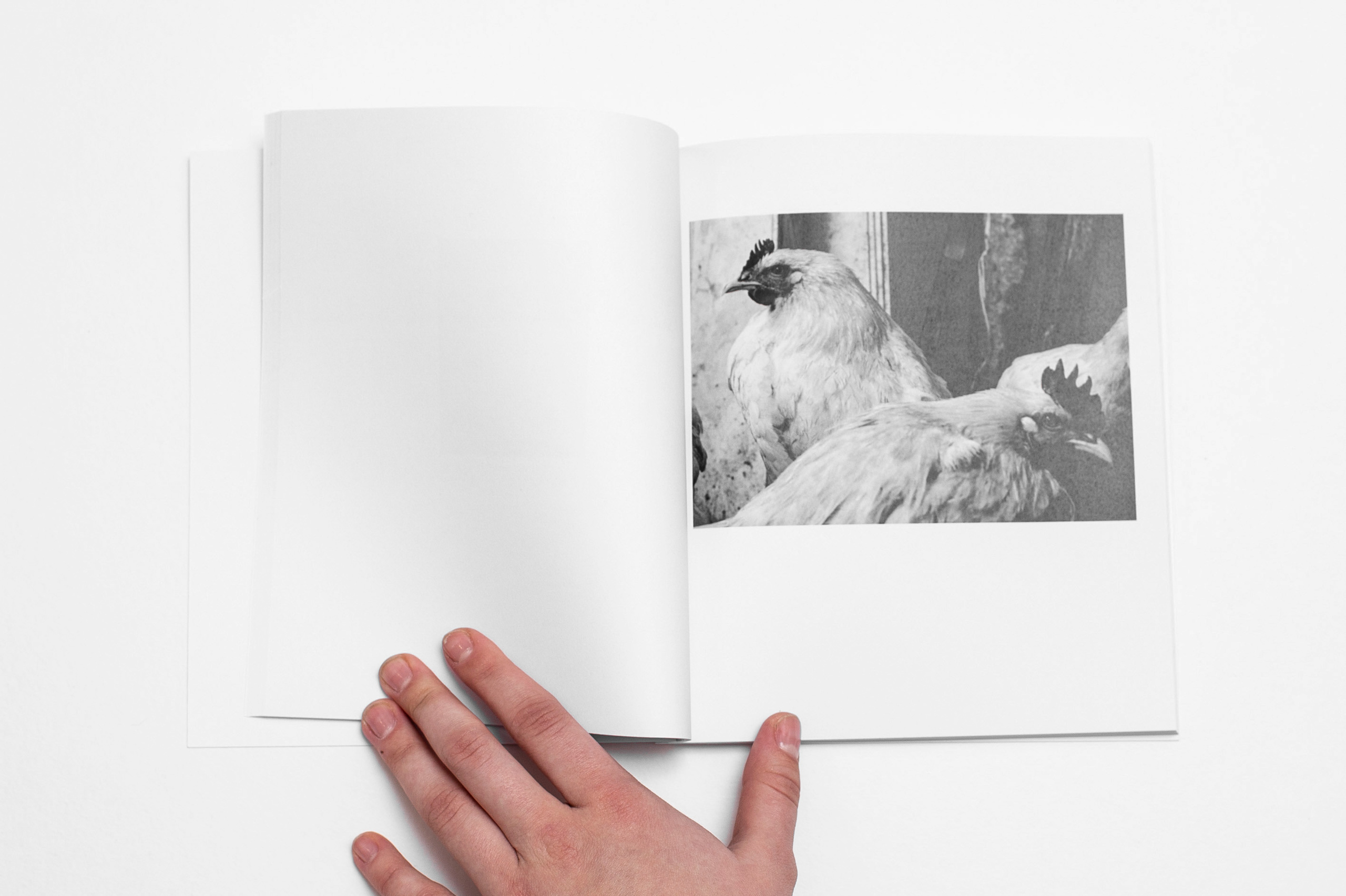 Компот с виноградом и айвой. Фотограф в Москве Алейникова Евгения