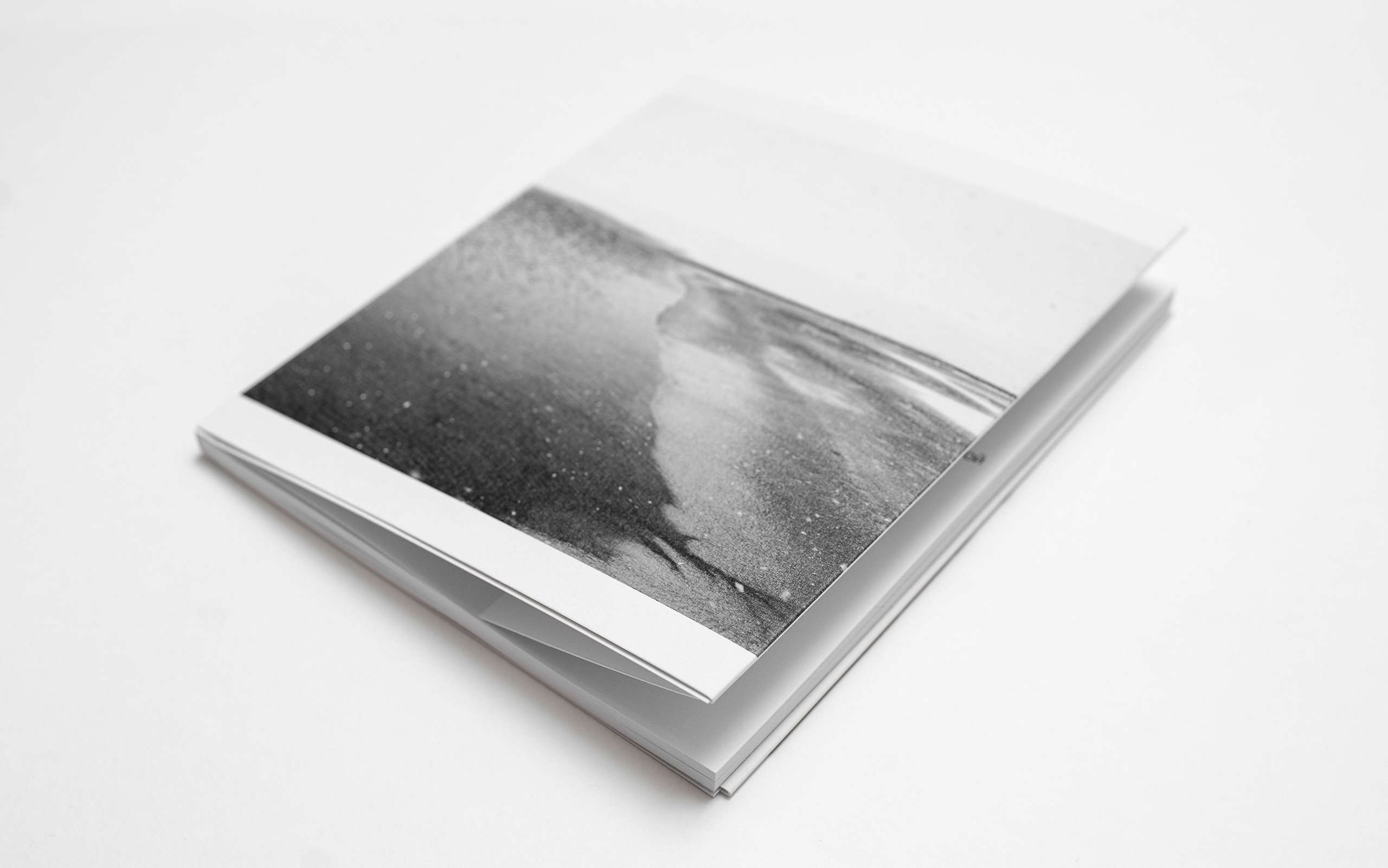 Компот с виноградом и айвой. Фотограф в Москве Алейникова Евгения