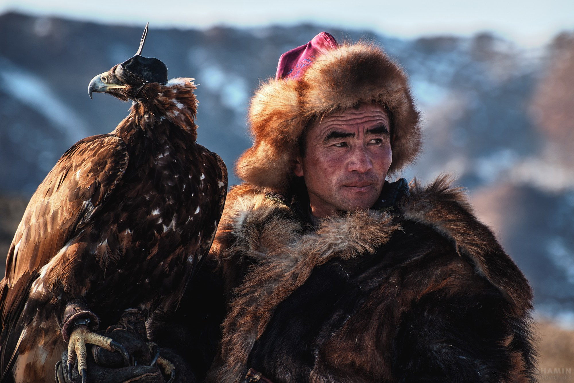 Проект 365. Фотограф Константин Шамин