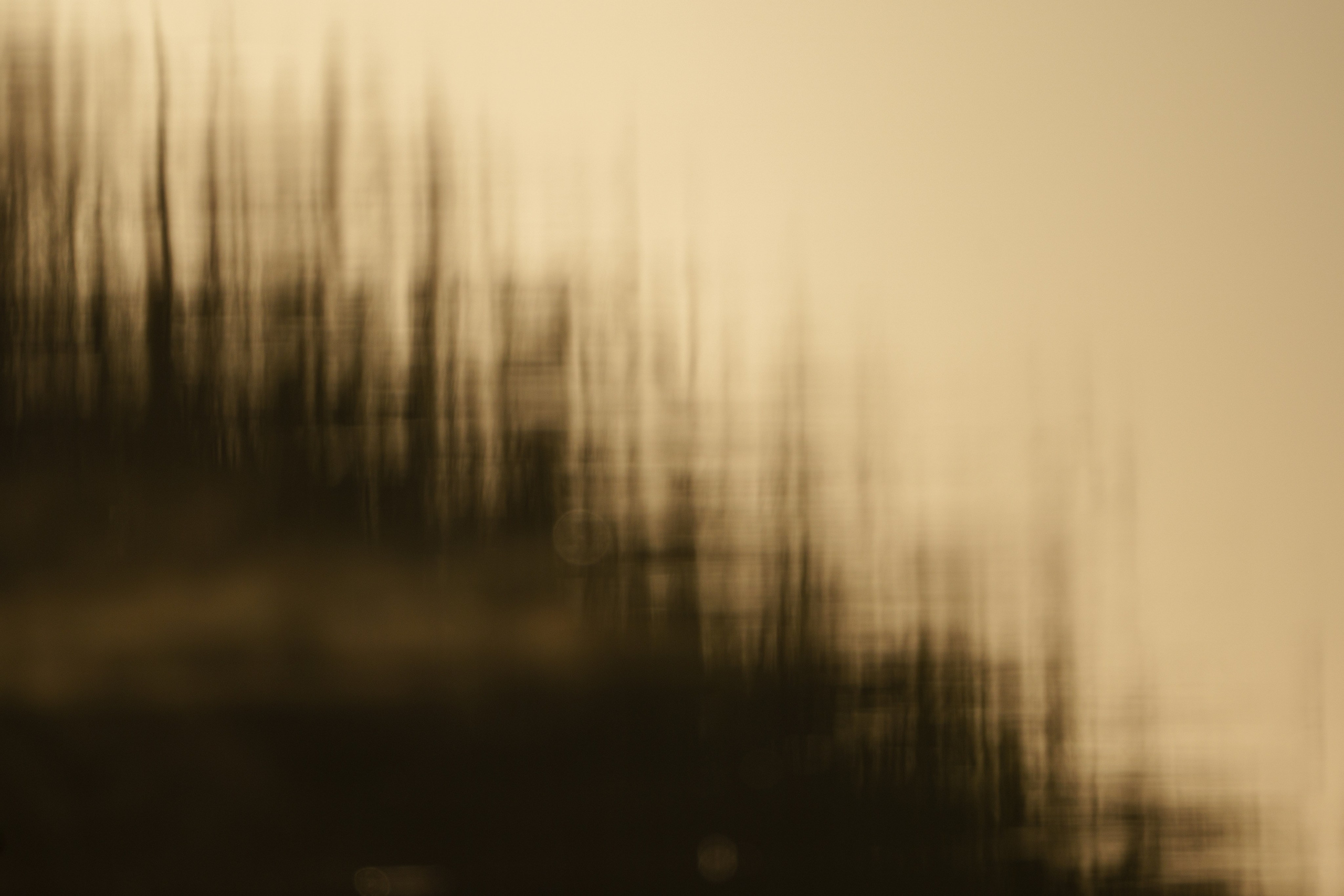 Барханы и лотосы. Июль–Август