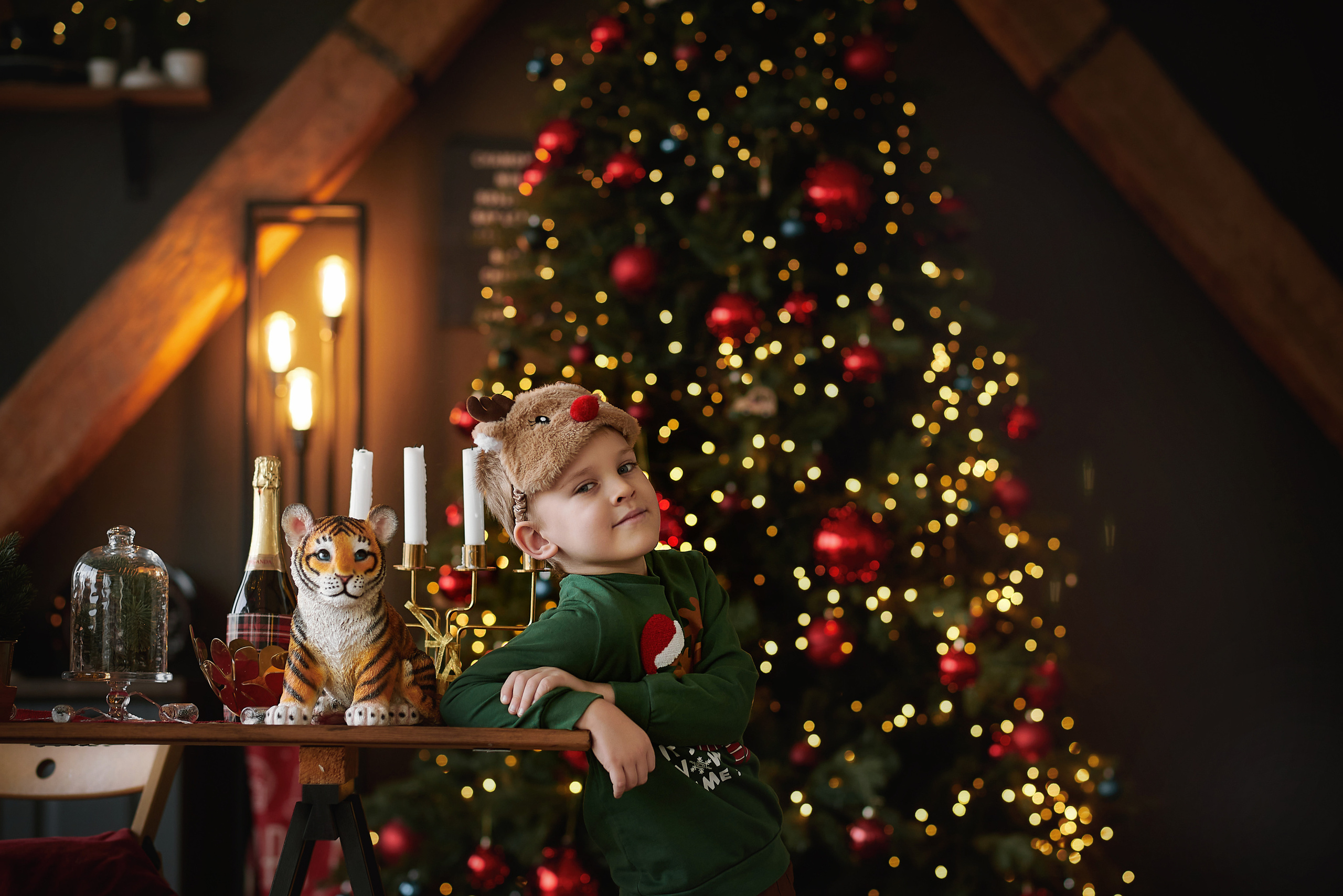 Семейные новогододние картинки. Семейный фотограф в Ростове-на-Дону Татьяна Литвинова