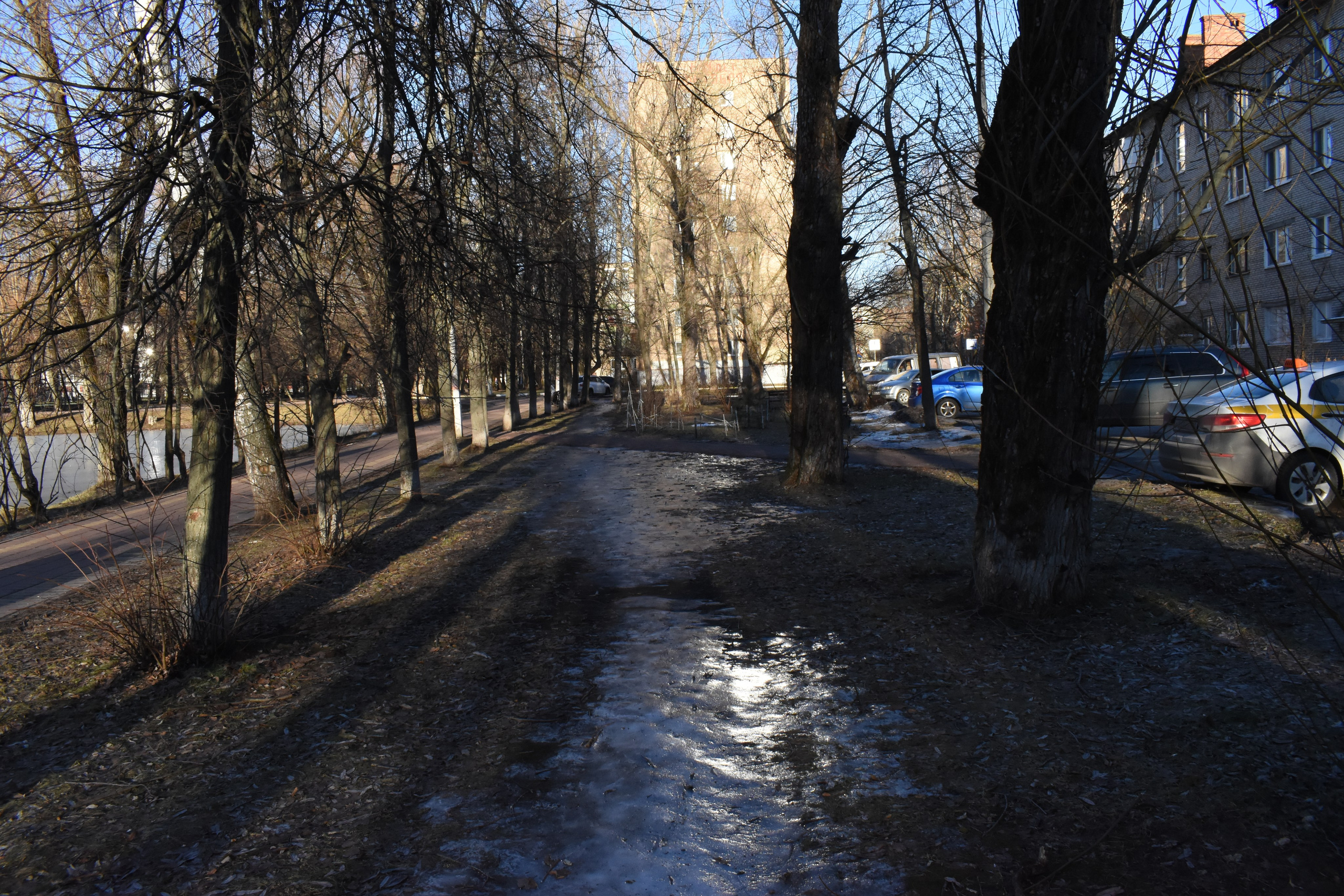 Раменское. Фотограф Анатолий Мелентьев