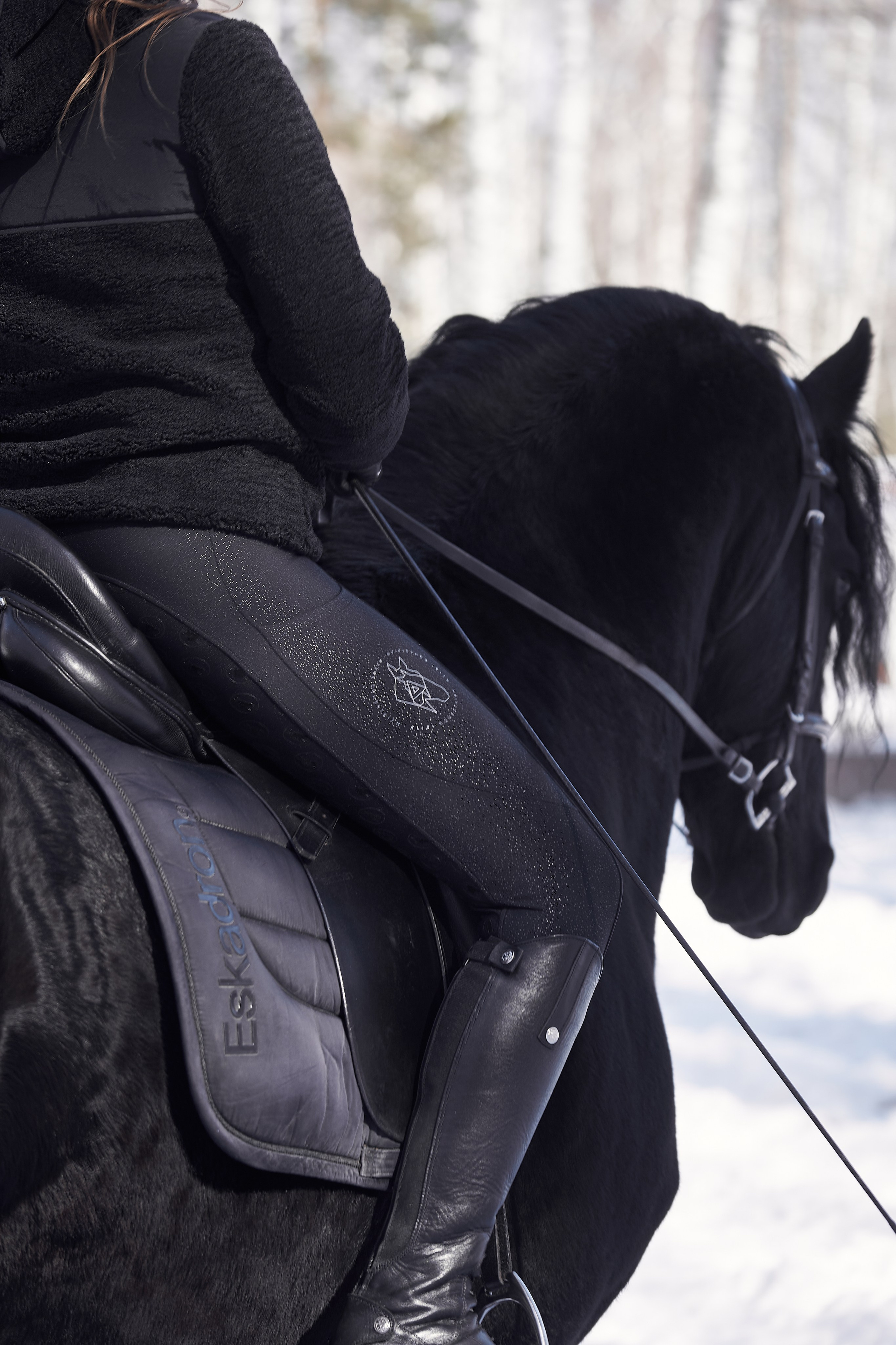 Фотосессии с лошадьми в Москве, Новосибирске