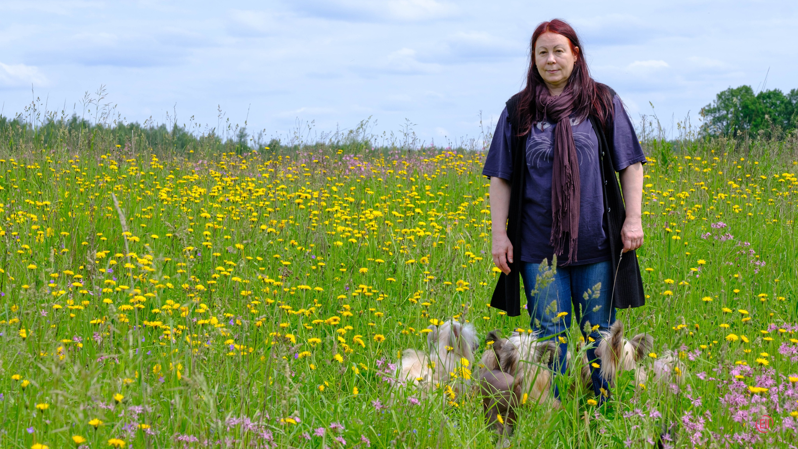 Просто в поле. Питомник китайских хохлатых собак Poale Ell: купить щенка