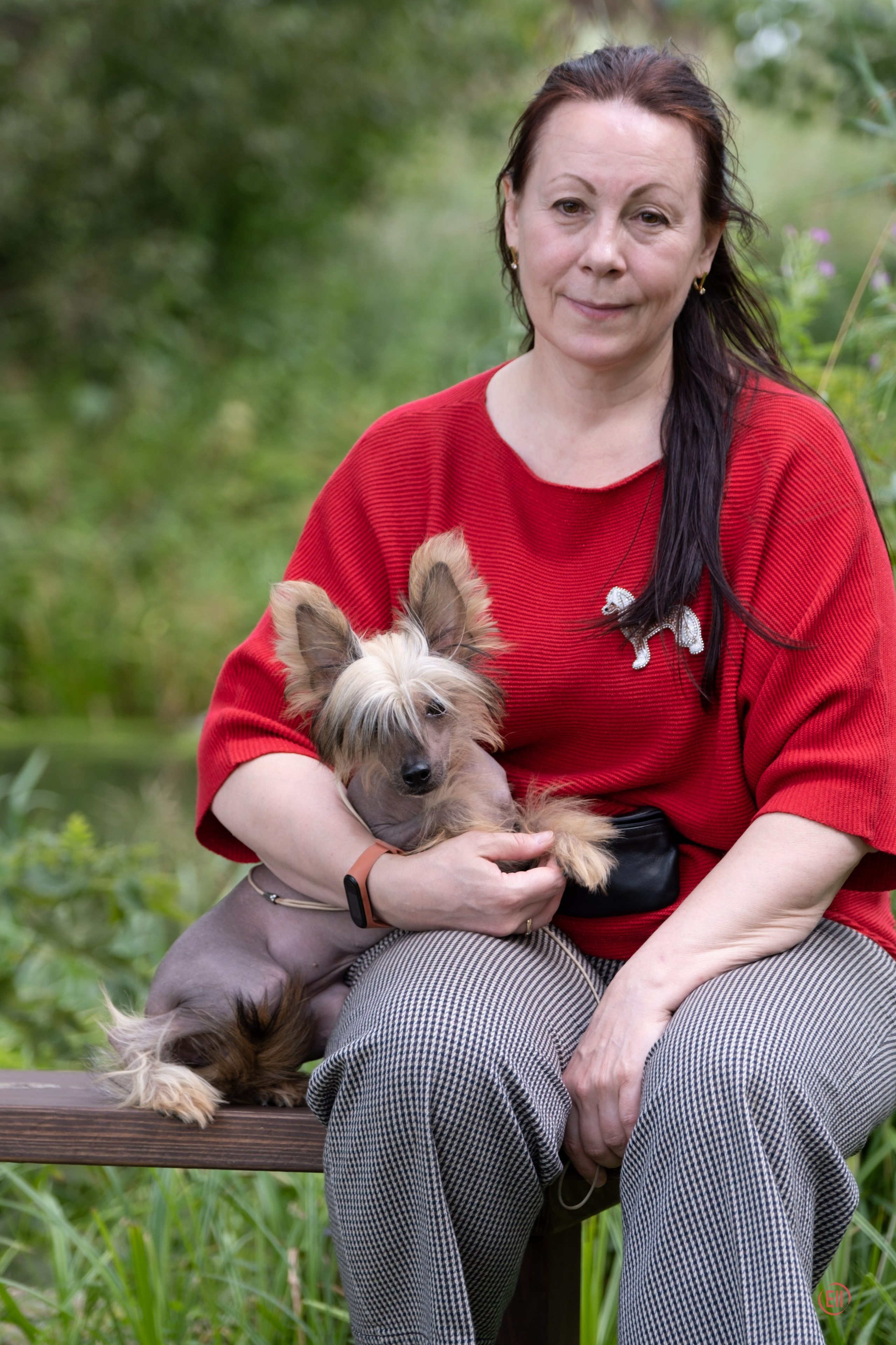 Липецк. Выставка собак. Питомник китайских хохлатых собак Poale Ell: купить щенка