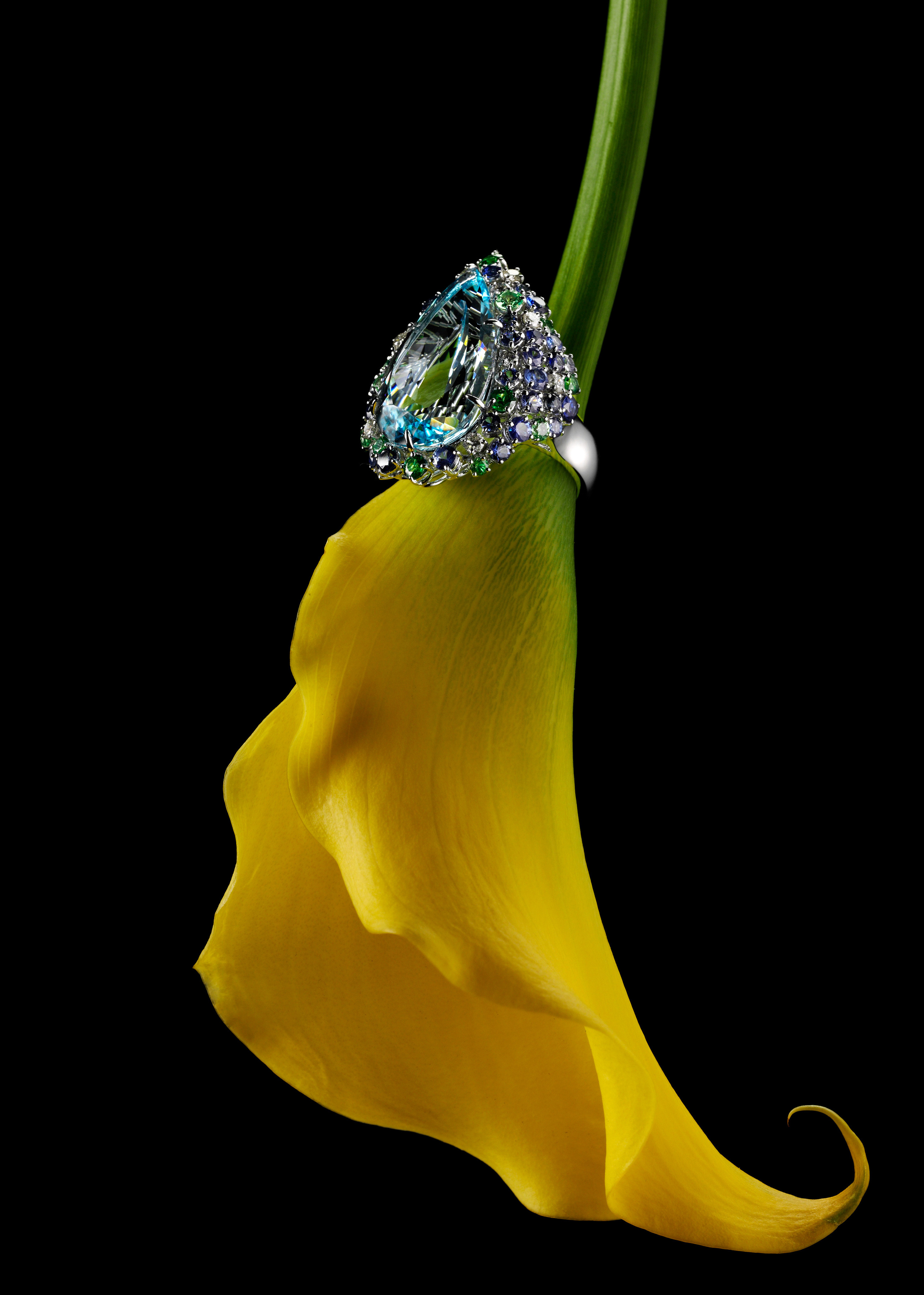 Фотостудия Игоря Сахарова (Санкт-Петербург)