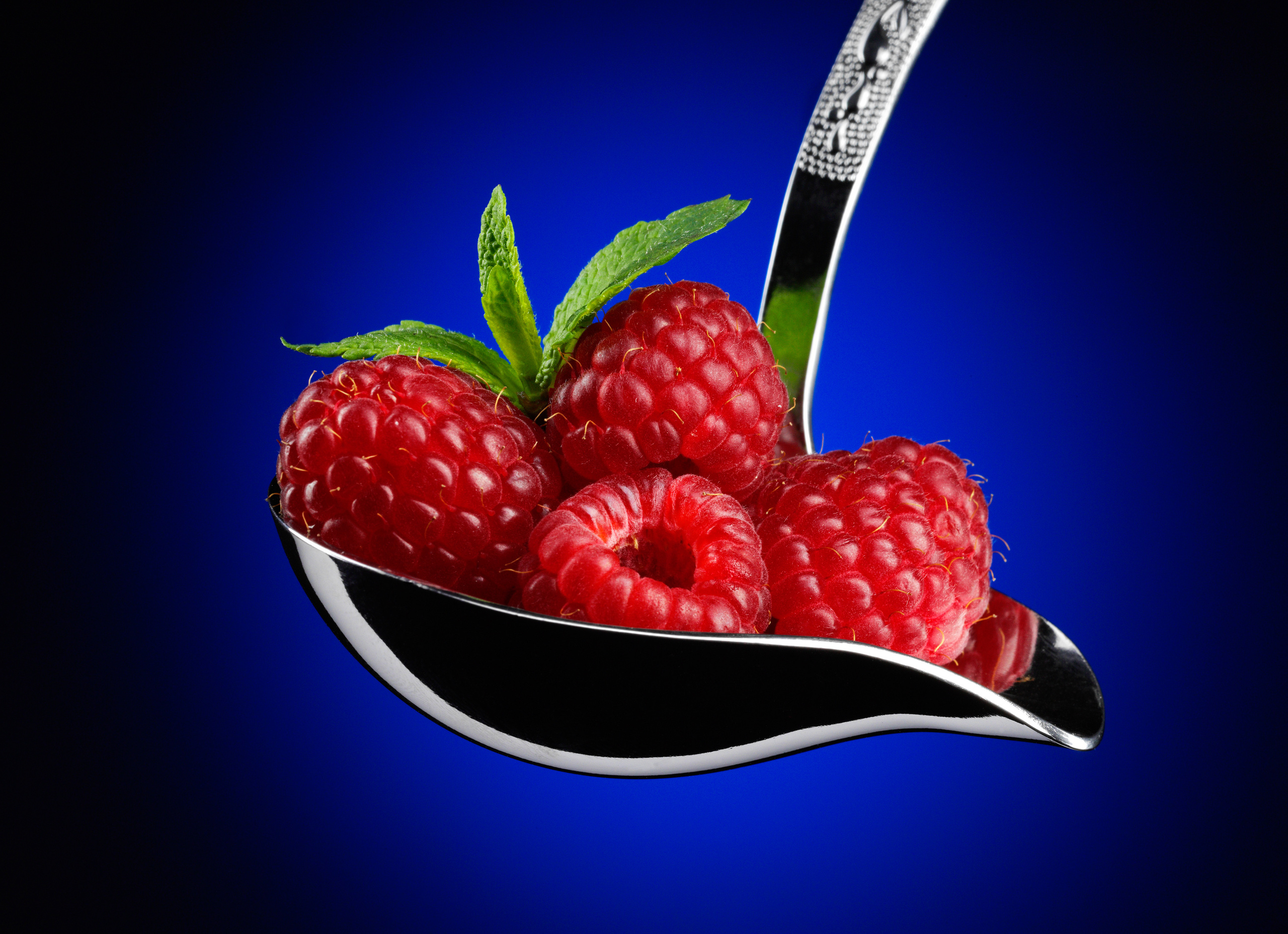 Фотостудия Игоря Сахарова (Санкт-Петербург)