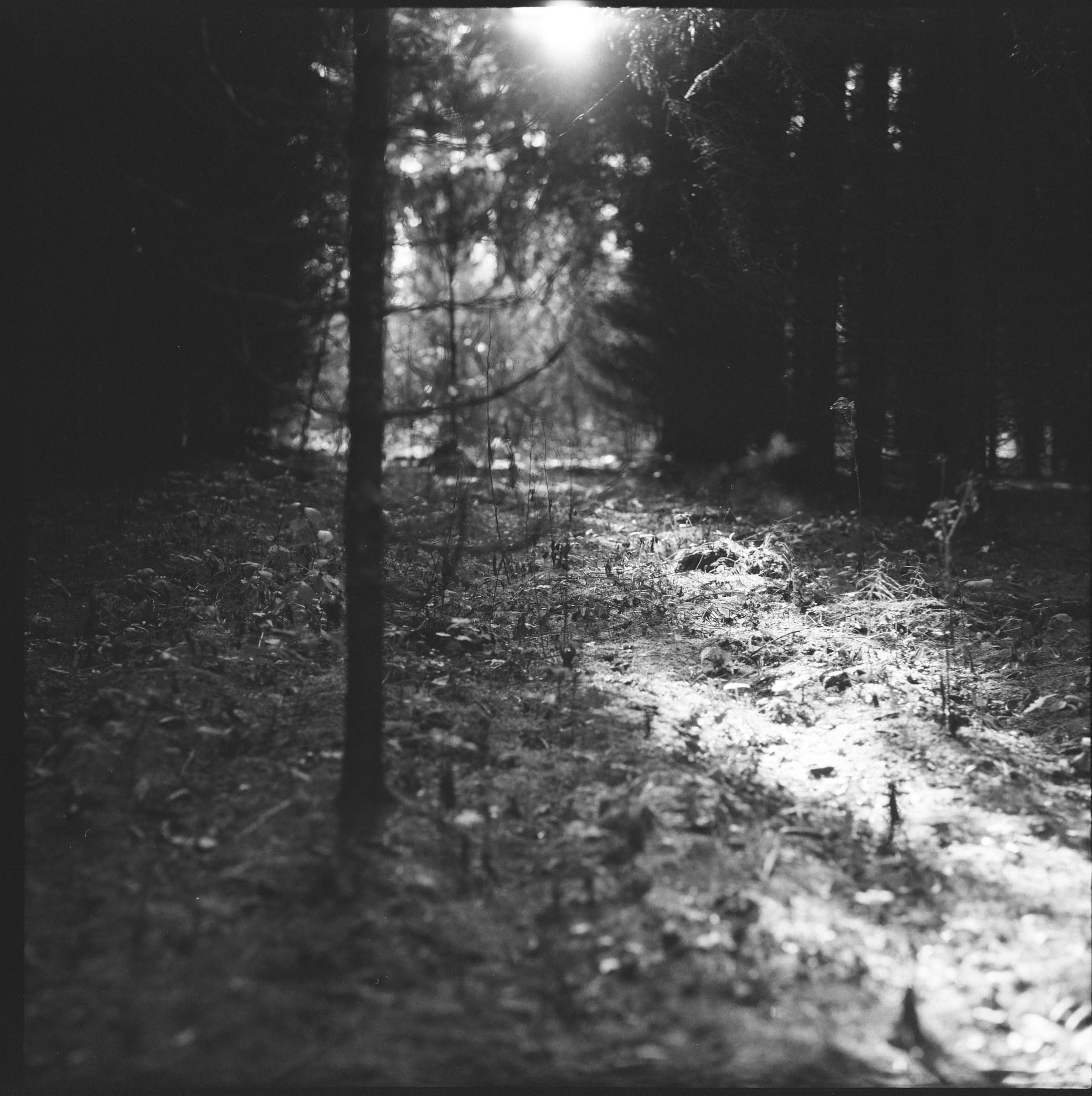 Усадьбы Яропольца. Paintings by the artist Sergey Ratchin