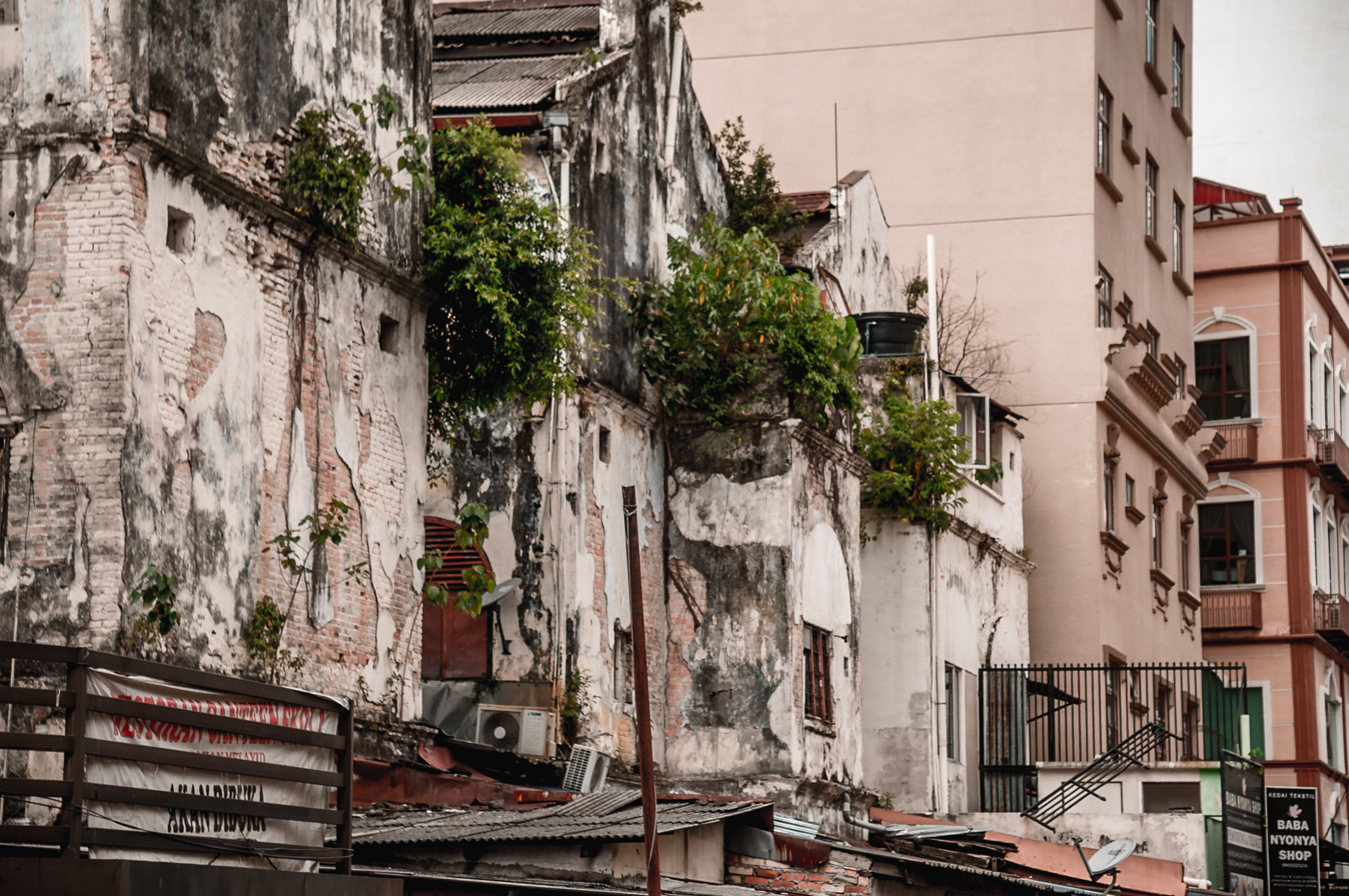 ЮВА: Сеул, Себу, Бохоль, Бали, Сингапур, Куала-Лумпур. Фотограф в Хабаровске. Фотография за 24 часа