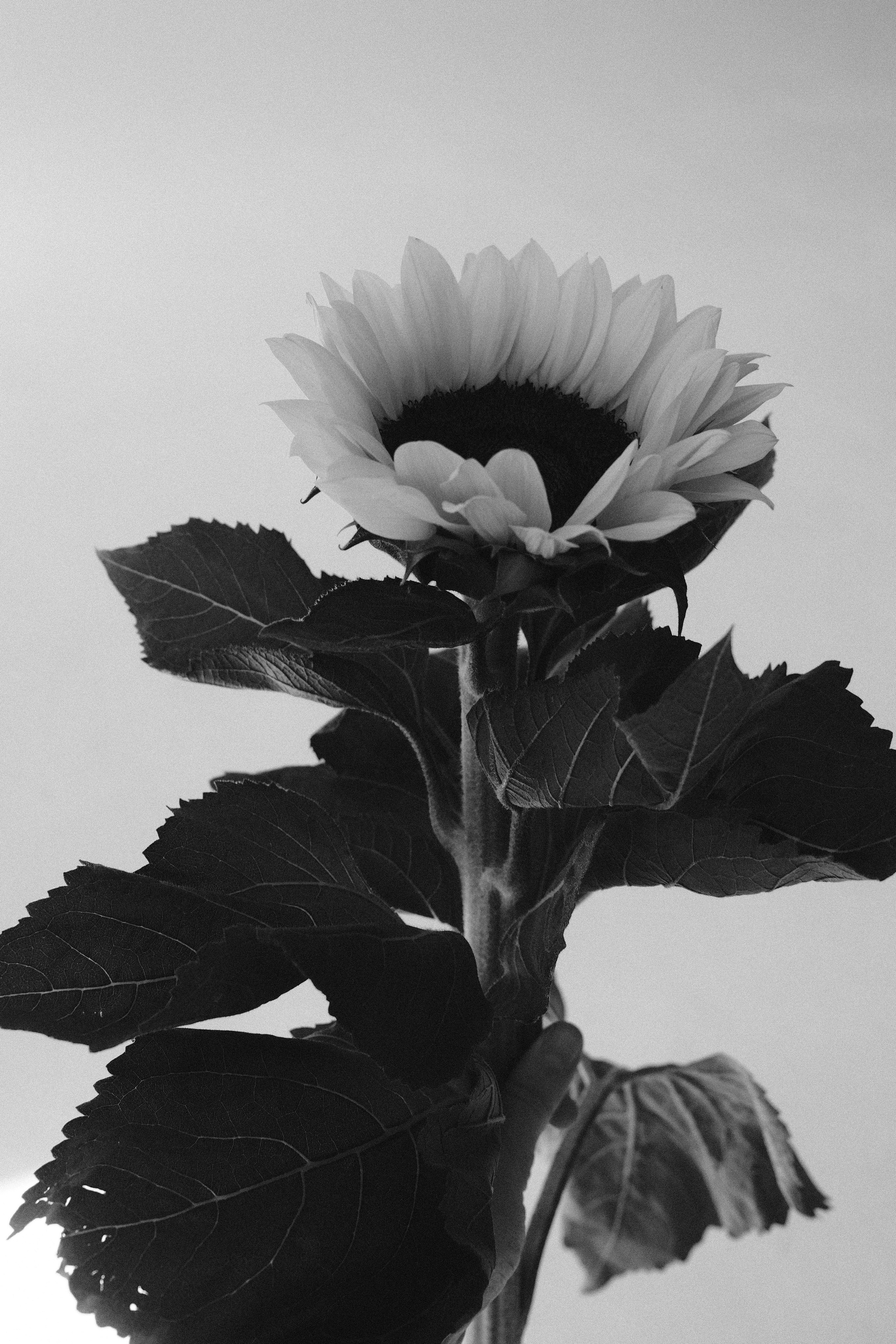 Обо мне. Photographer Tanya Haurylenka