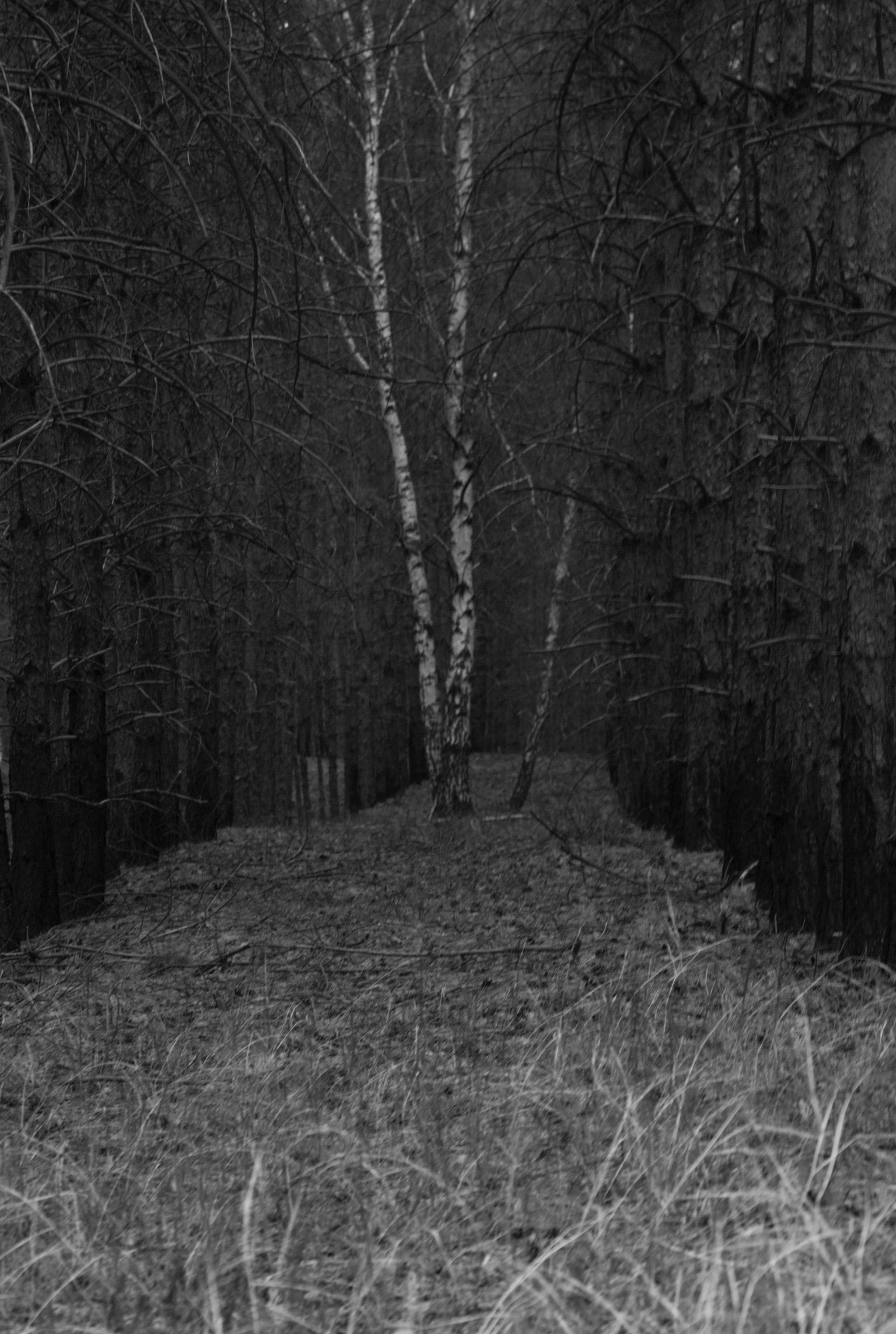 ДЕРЕВНЯ. Портретный и арт-фотограф Манакова Ольга. Челябинск