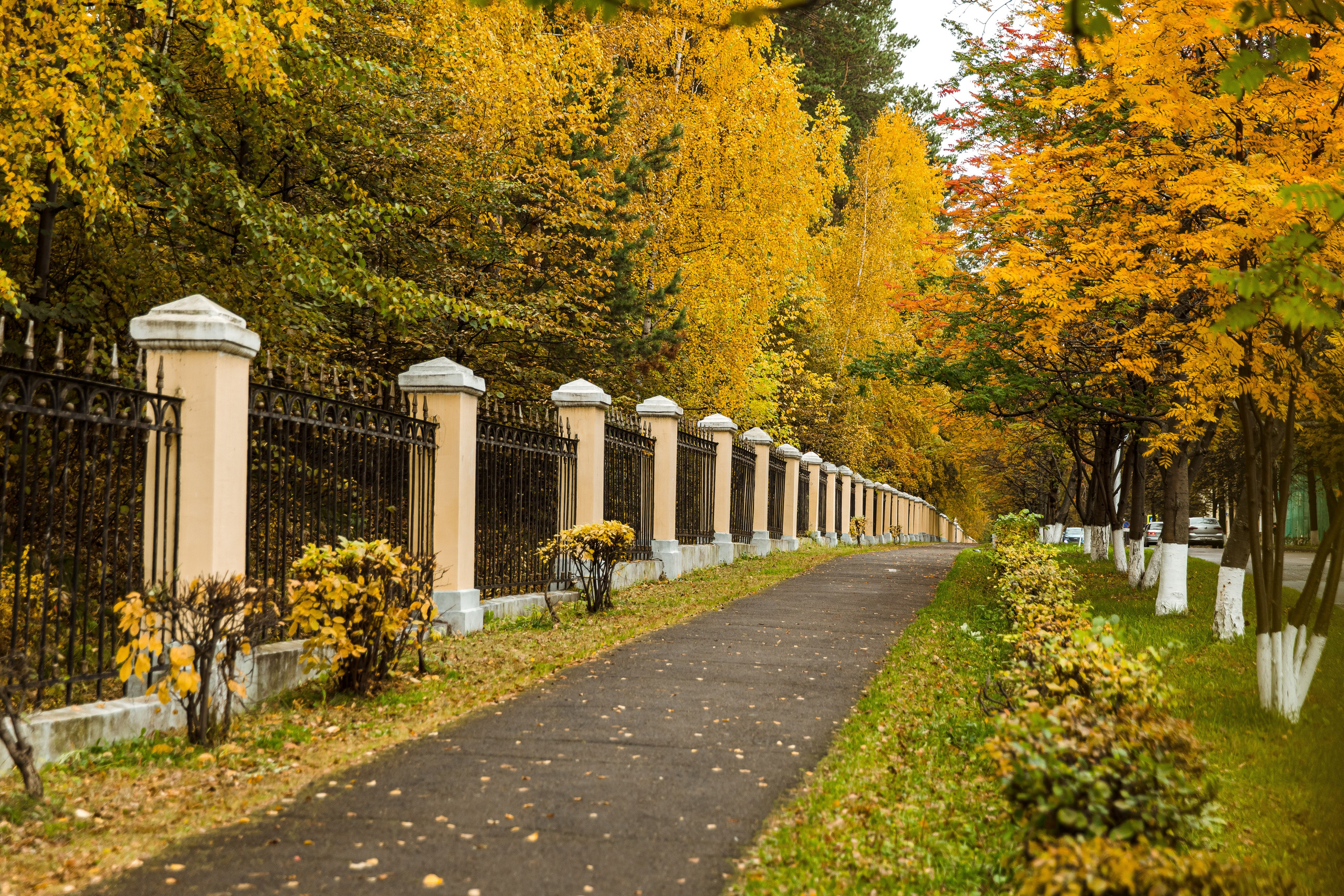 Осень в парке. Семейный и детский фотограф в Железногорске Саламахо Ольга