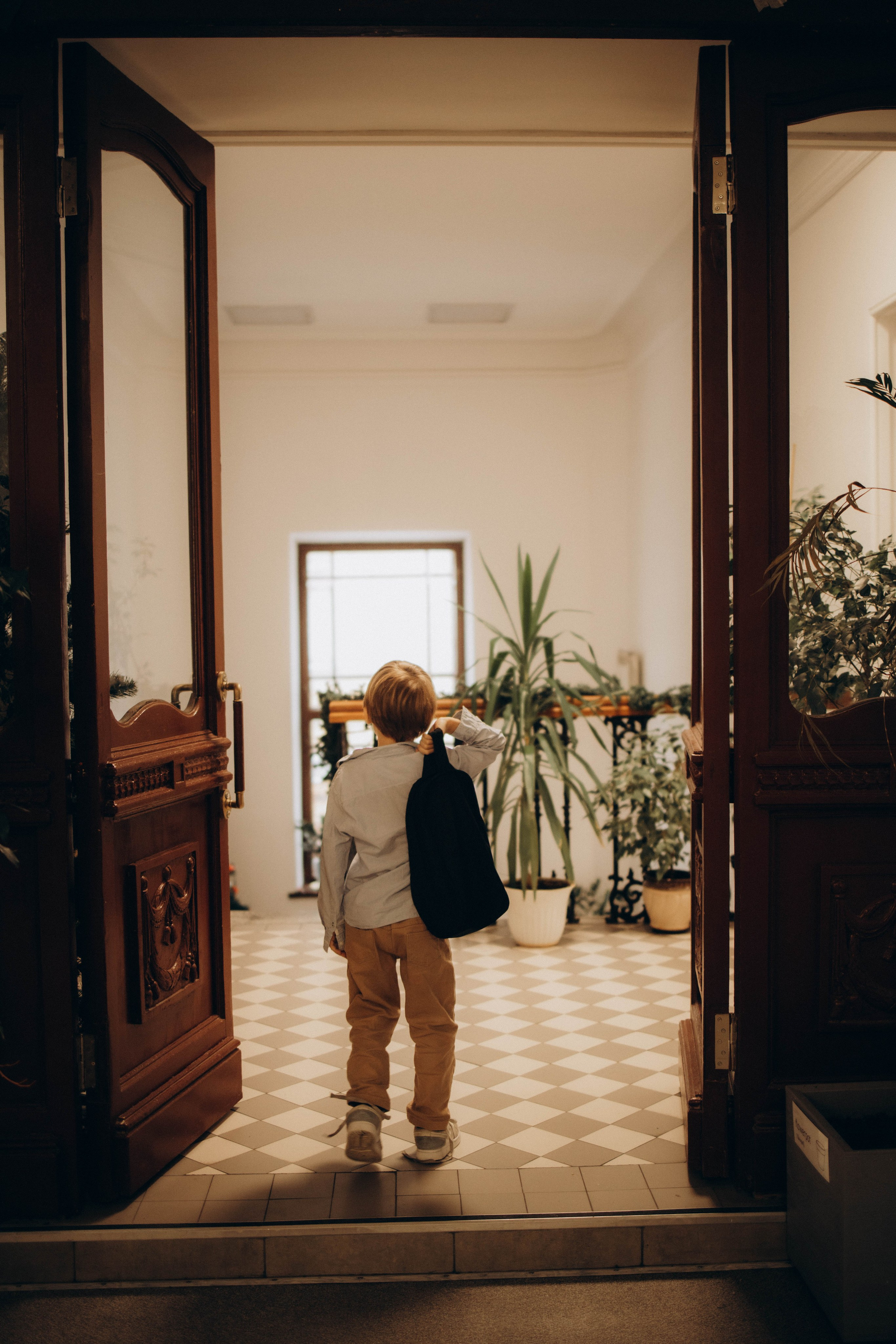 Заглядывая в Аврору