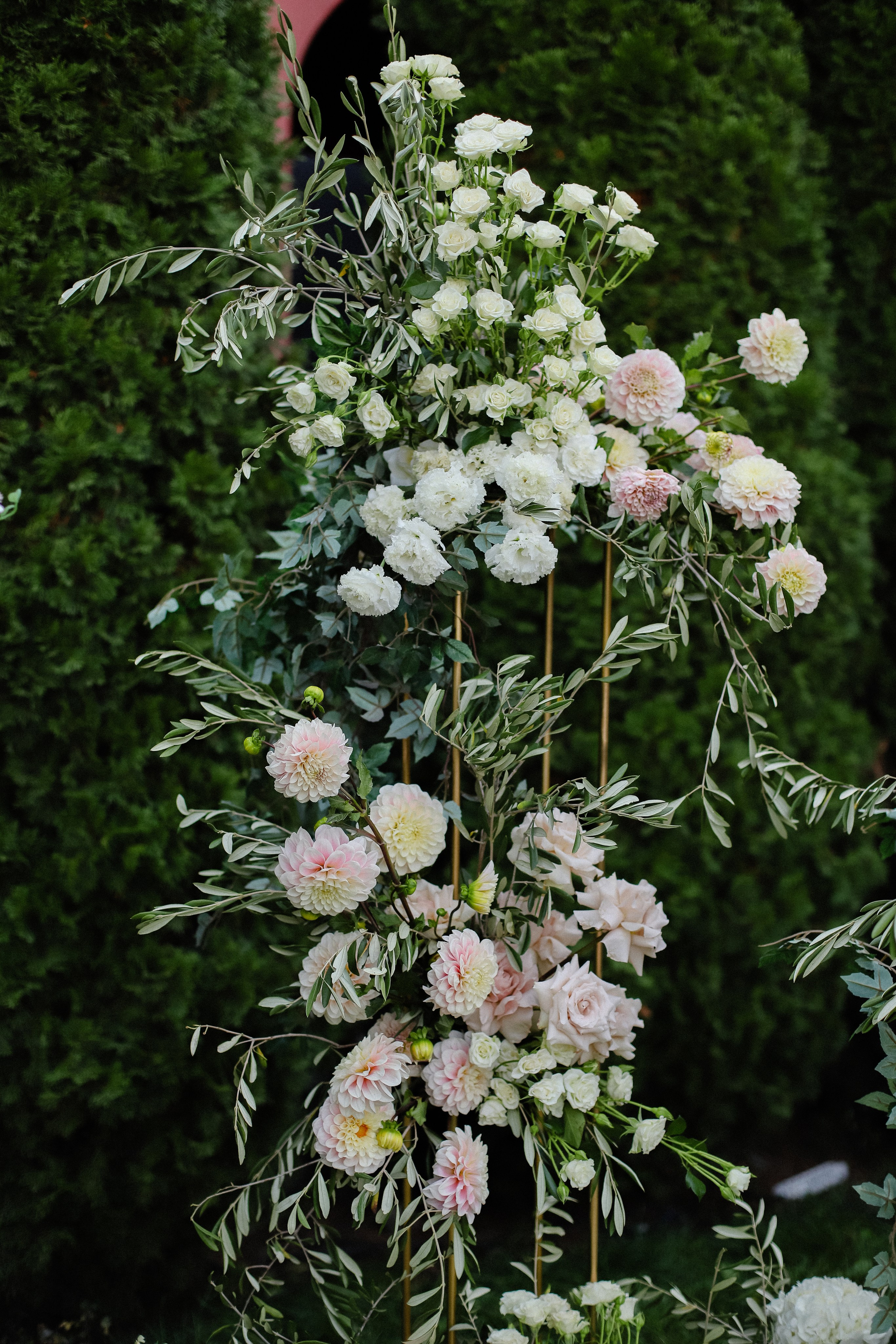 Илья и Анастасия. Фотограф в Алматы и Москве Даша Пушкина