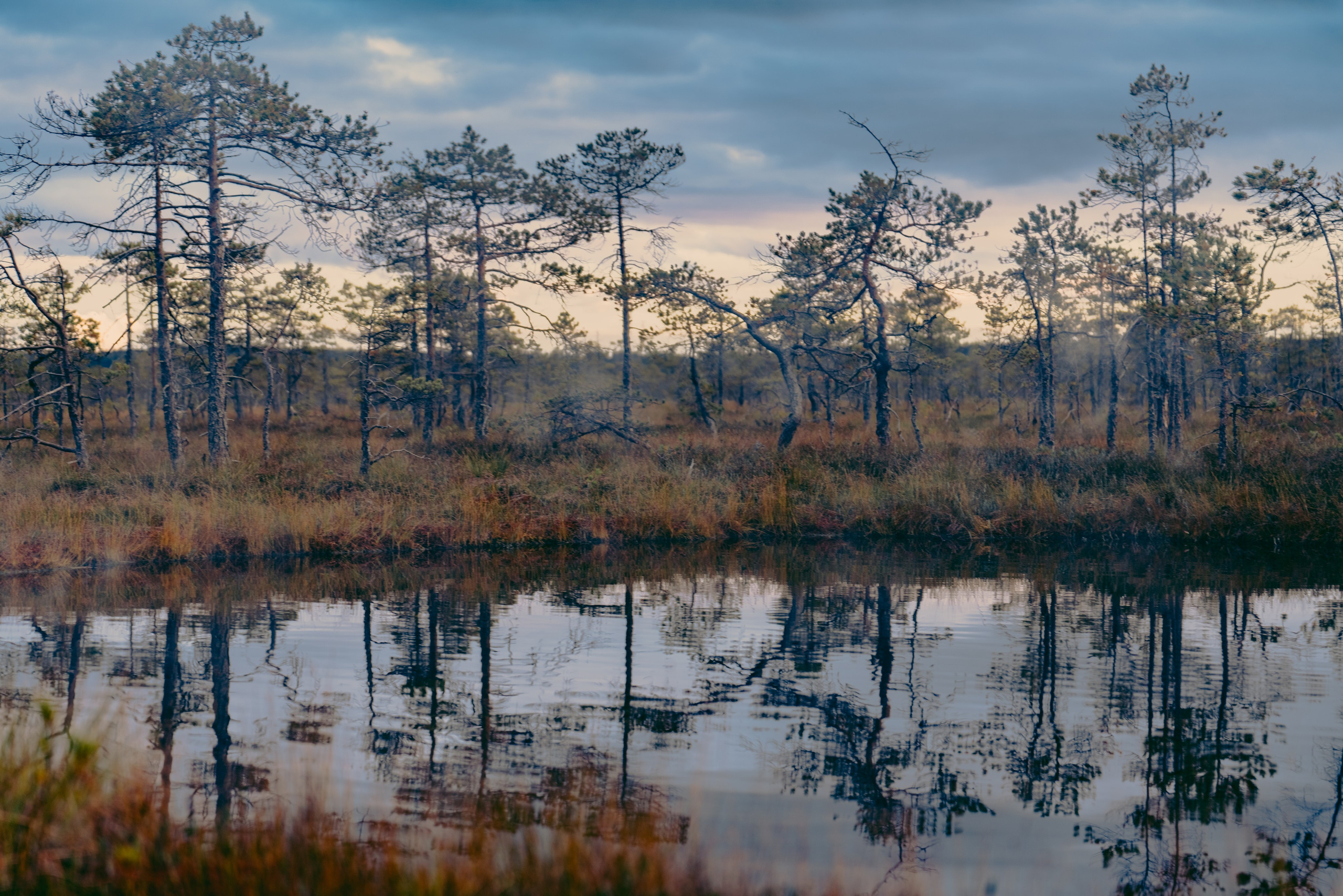 Осень на Карельском перешейке. Сентябрь
