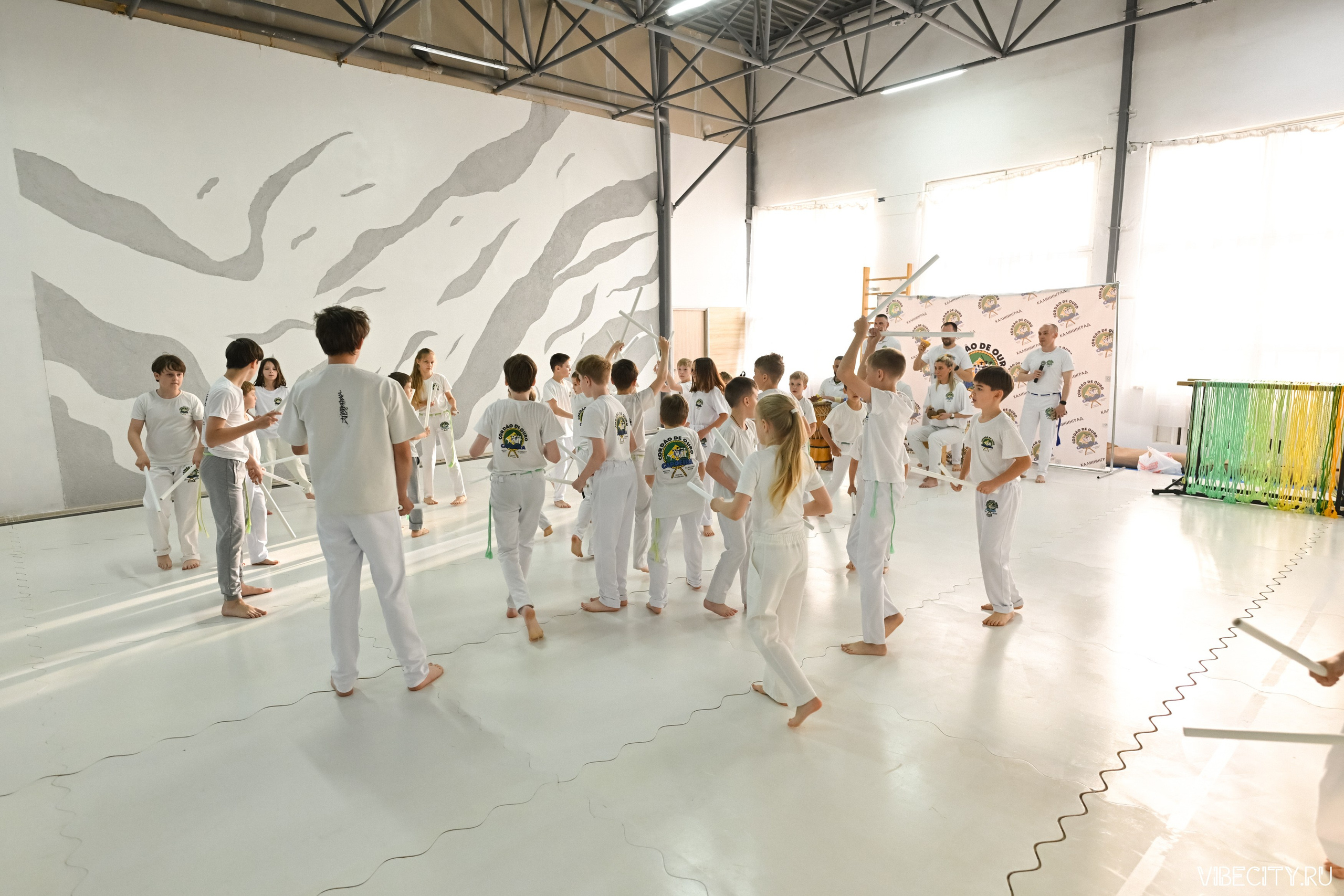 Capoeira: 4-е batizado e Troca de cordao. VIBECITY.RU Вайб Сити Ру Фоторепортажи Фотоотчеты Калининград