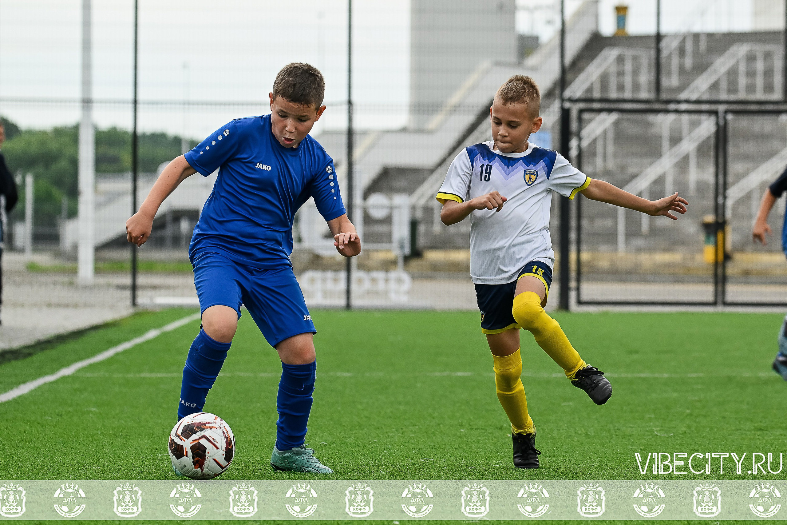 Калининградская Детская Футбольная Лига. VIBECITY.RU Вайб Сити Ру Фоторепортажи Фотоотчеты Калининград