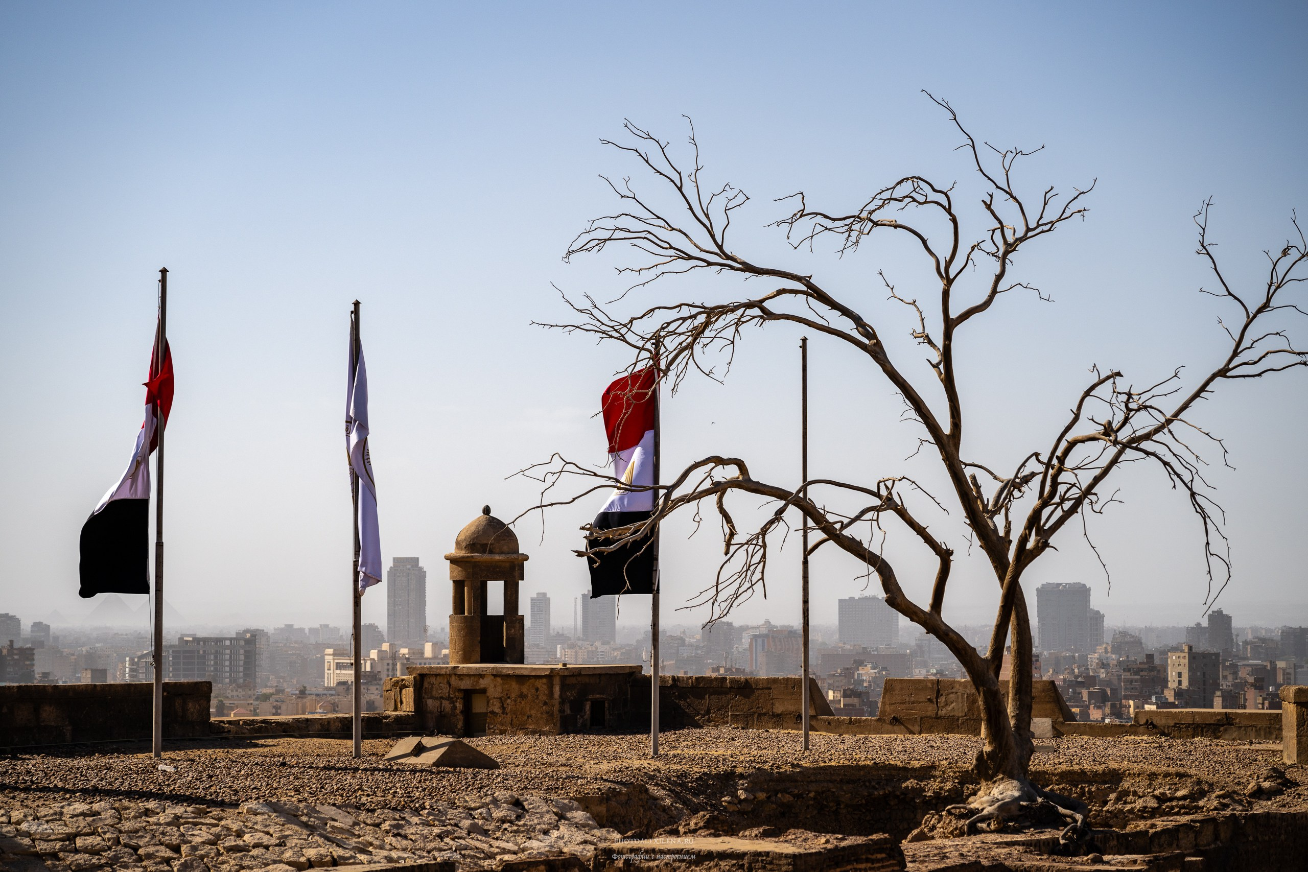 Каир самобытный и сумасшедший. Авторские стильные фотокартины