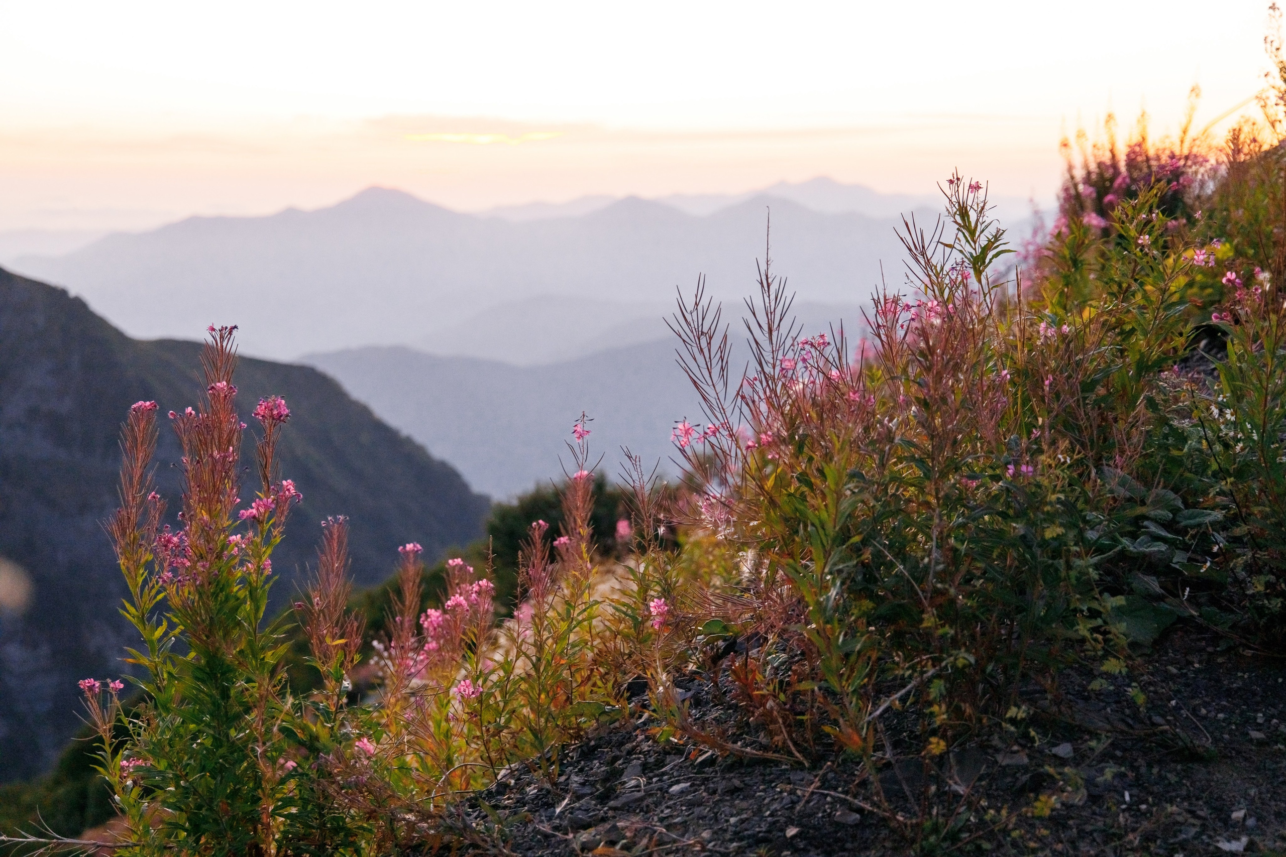 Свадьба в Сочи и в горах — фотограф Арманд. Свадебный фотограф в Абхазии, Сухум, Гагра, Сочи