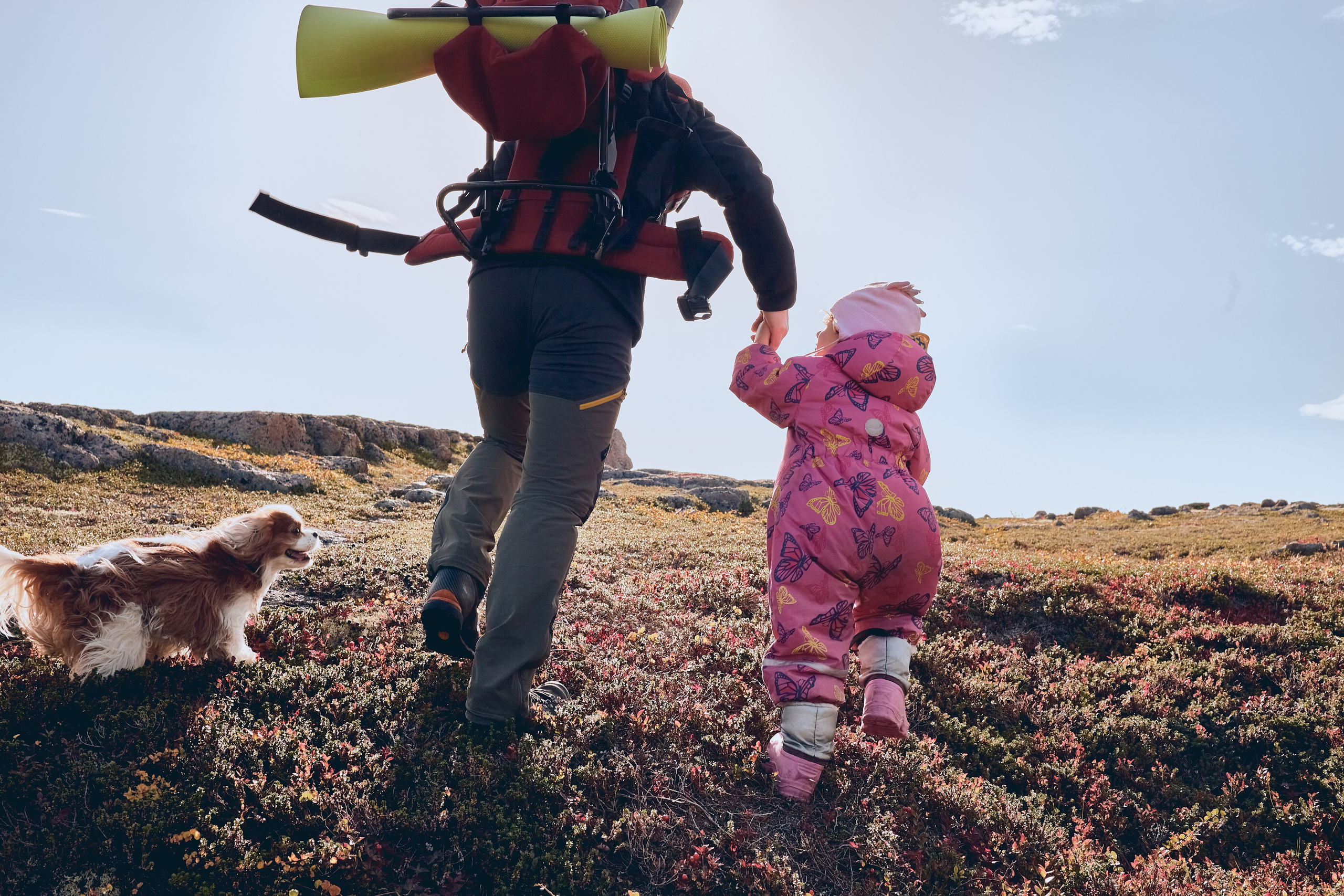 Путешествие на Край Земли. Юлия Иванова. Фотограф для лучших моментов