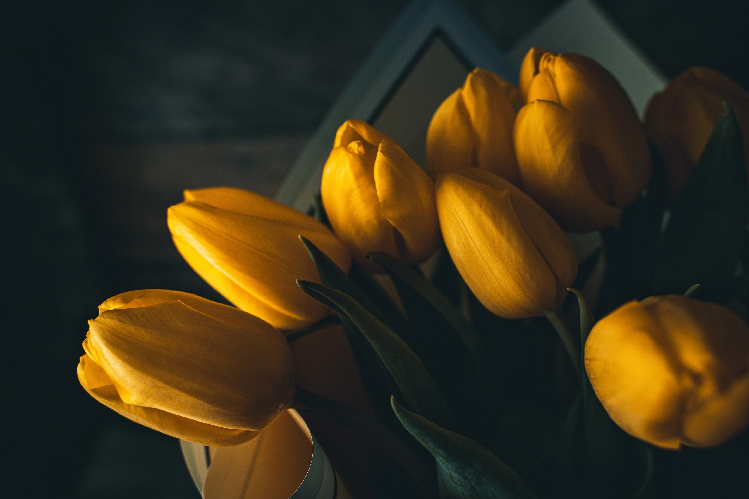 Рекламная съемка. Предметный фотограф в Воронеже Дмитрий Игнатов