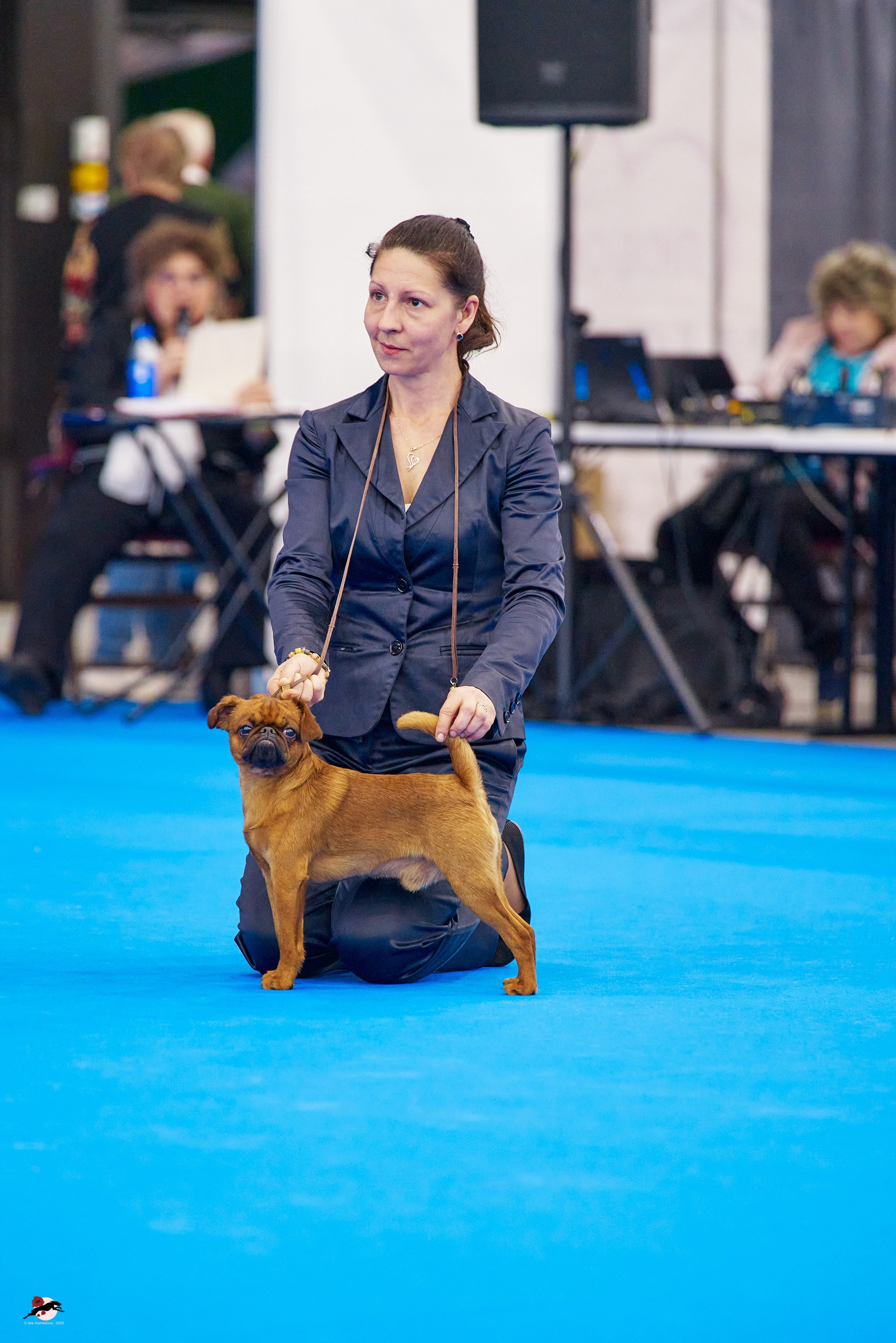 ГРАН ПРИ «ВЕСЕННИЙ ПЕТЕРБУРГ» & «СУПЕР КУБОК «ЭЛИТЫ»-2025»