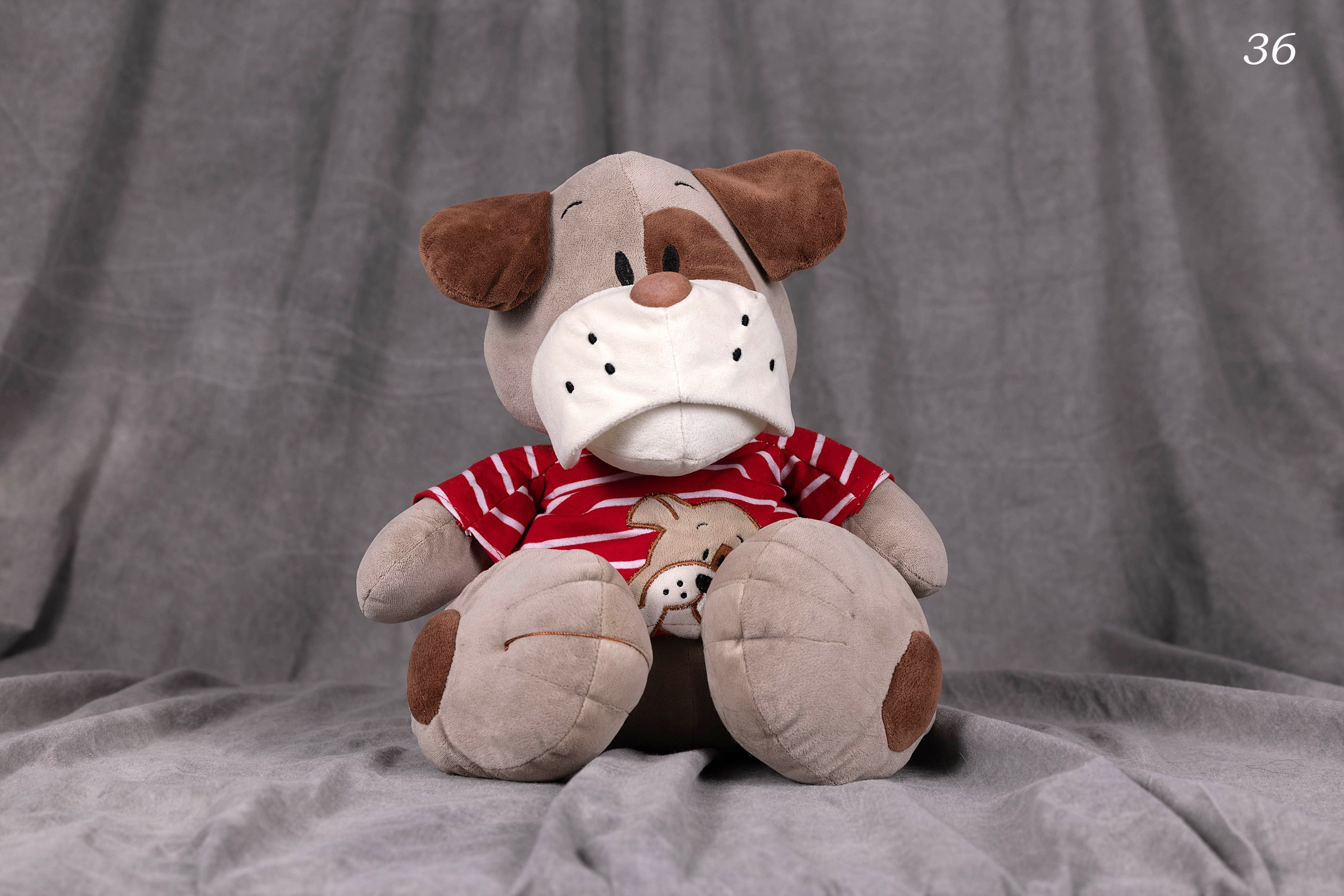 Фоны большого размера. Фотограф-анималист в Омске Екатерина Маричева